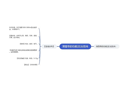 薄雪草的功能|主治|性味