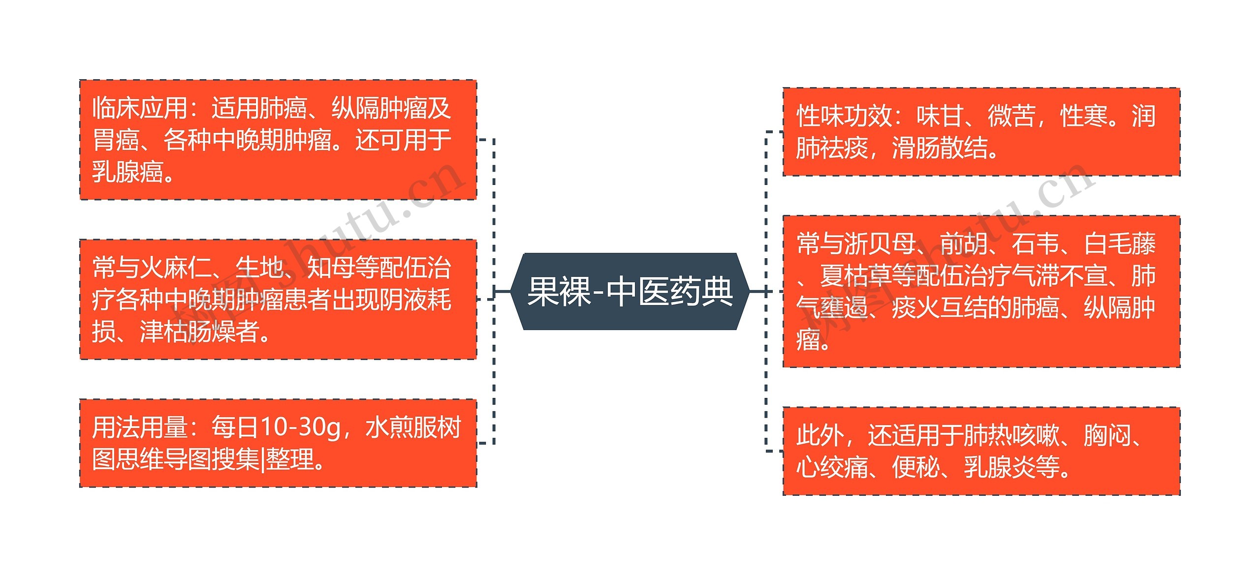 果裸-中医药典思维导图