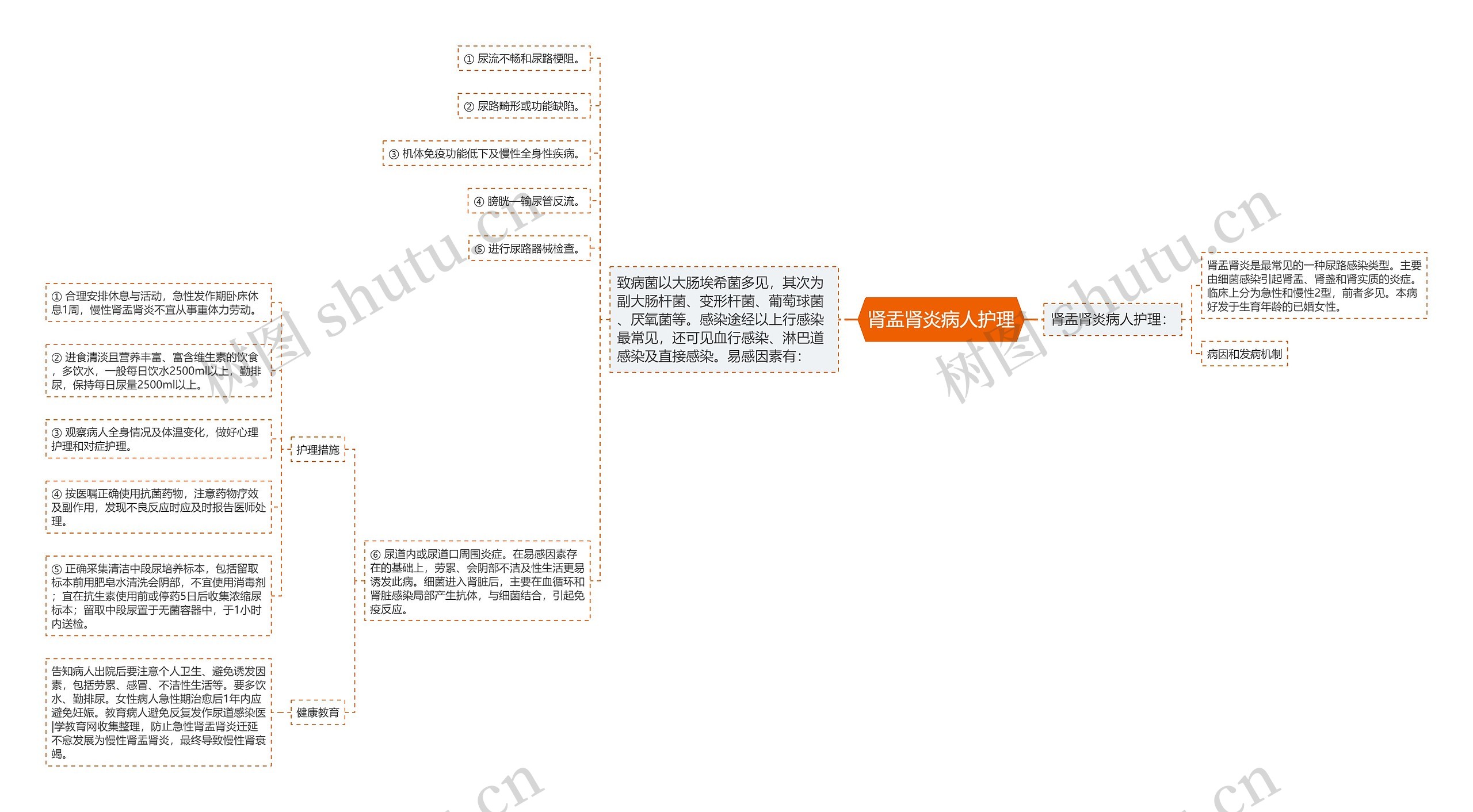 肾盂肾炎病人护理思维导图