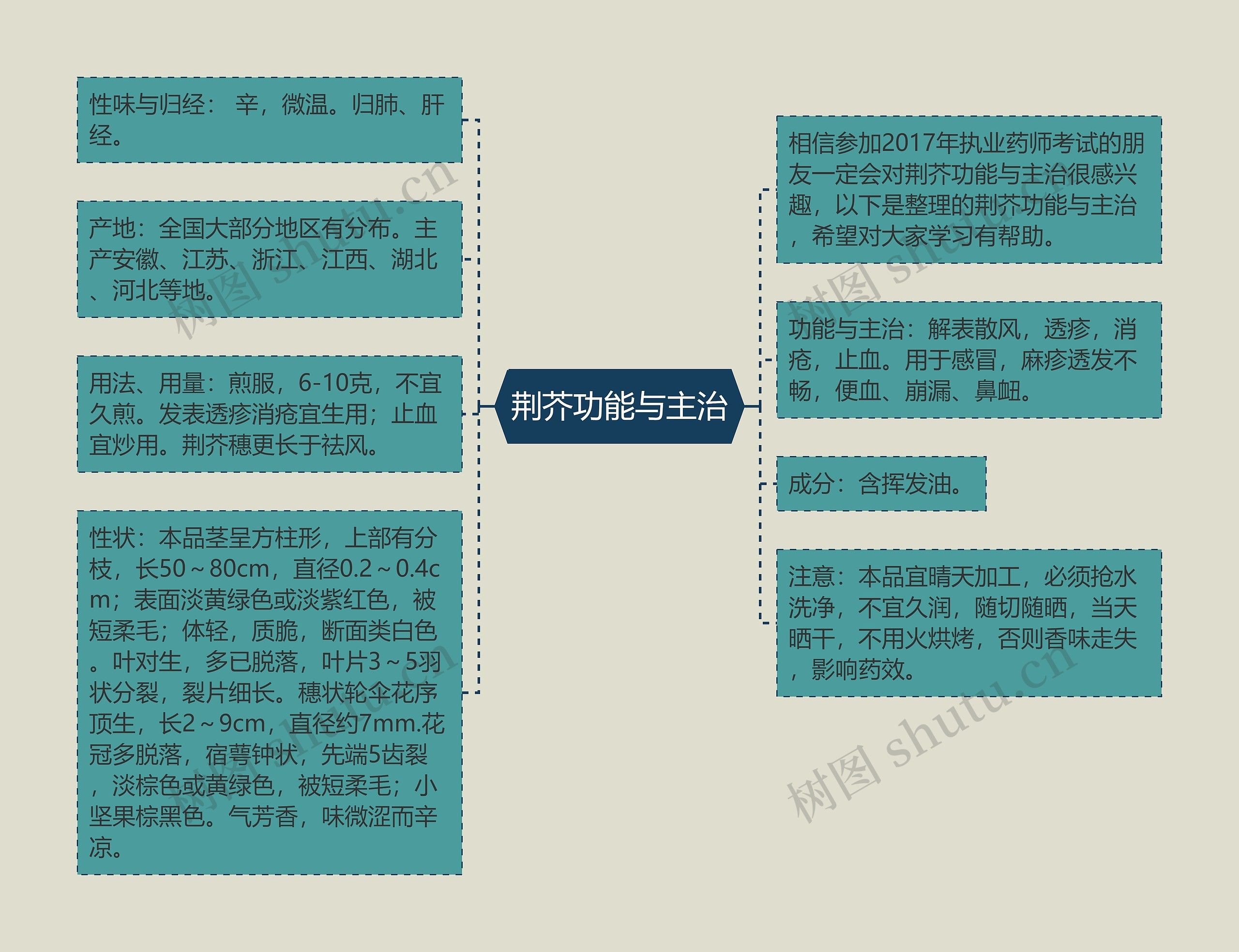 荆芥功能与主治思维导图