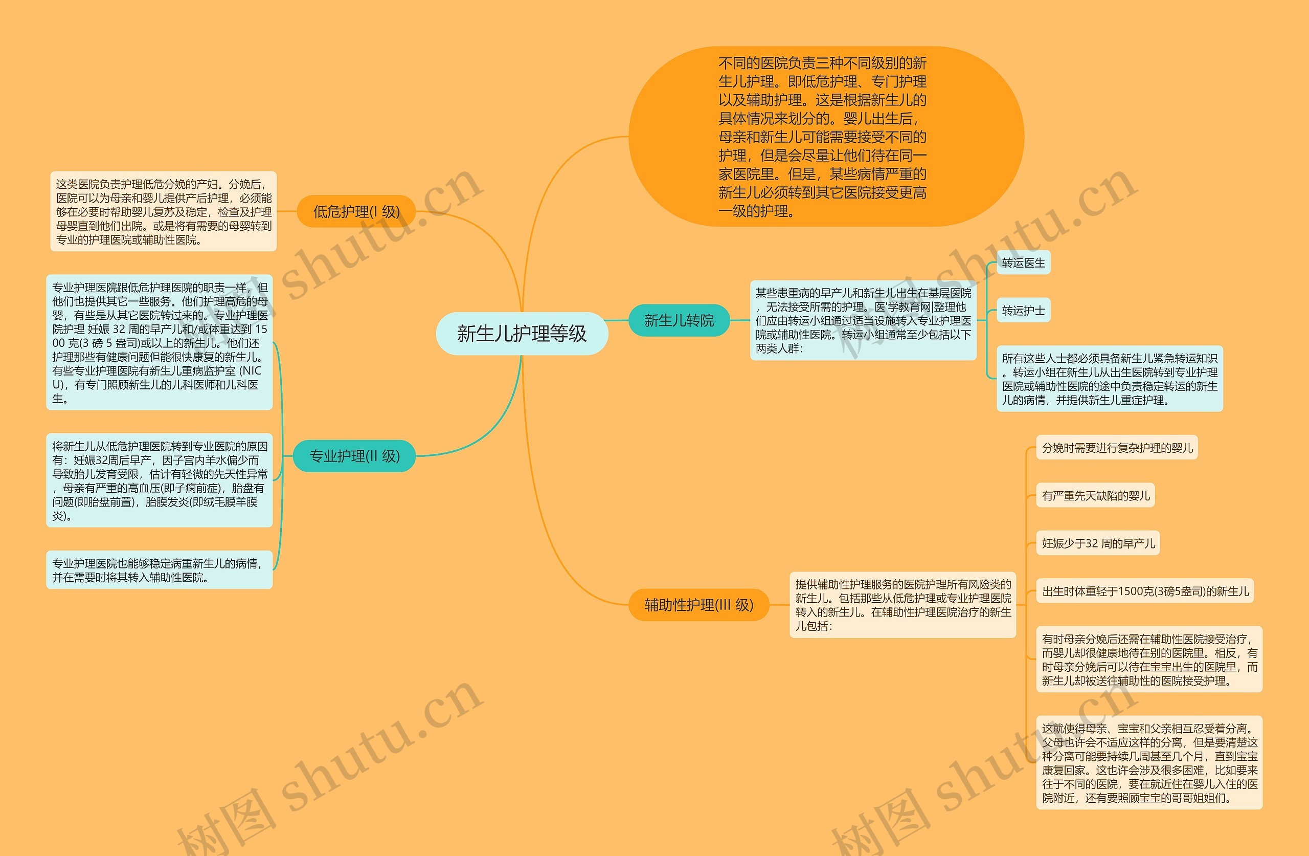 新生儿护理等级思维导图