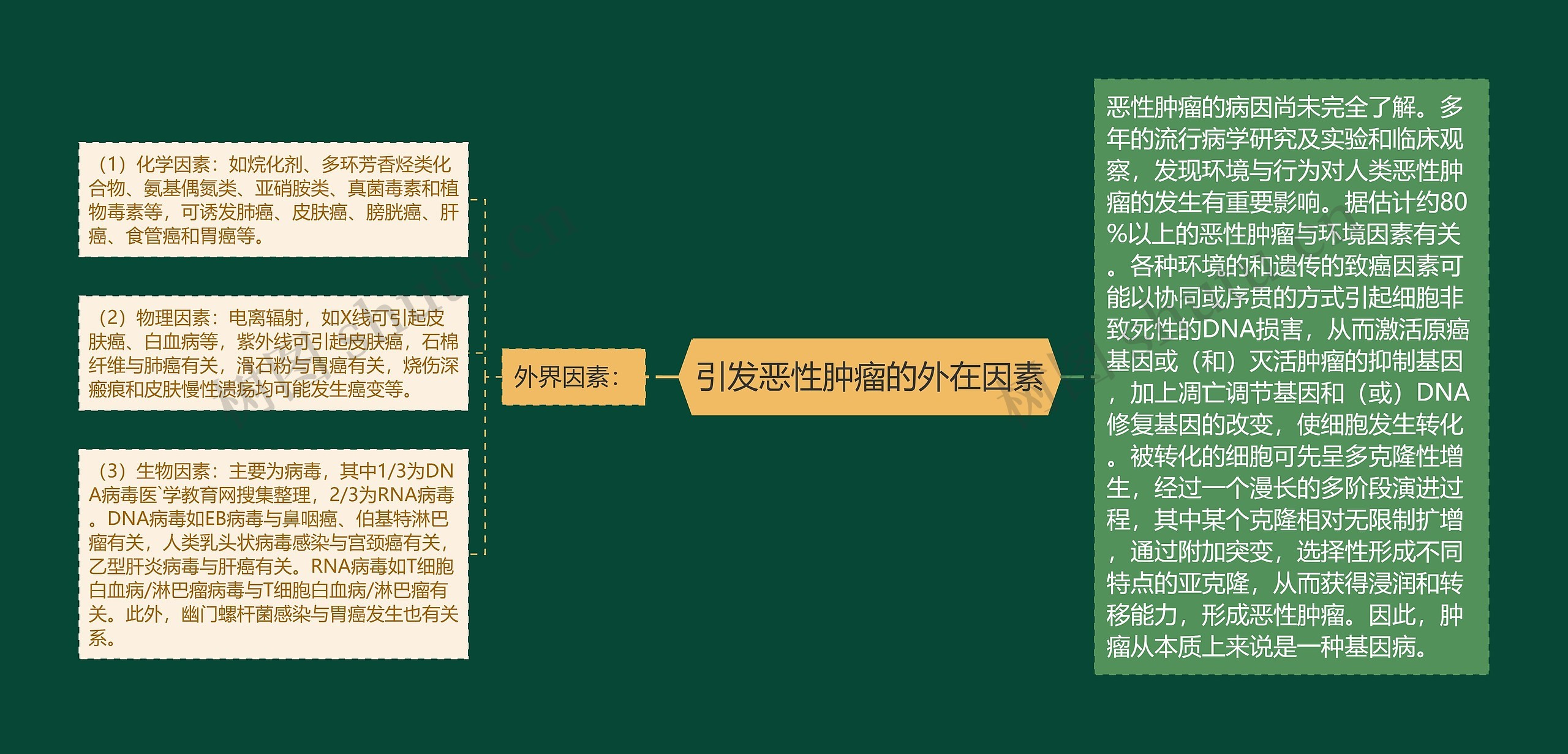 引发恶性肿瘤的外在因素思维导图