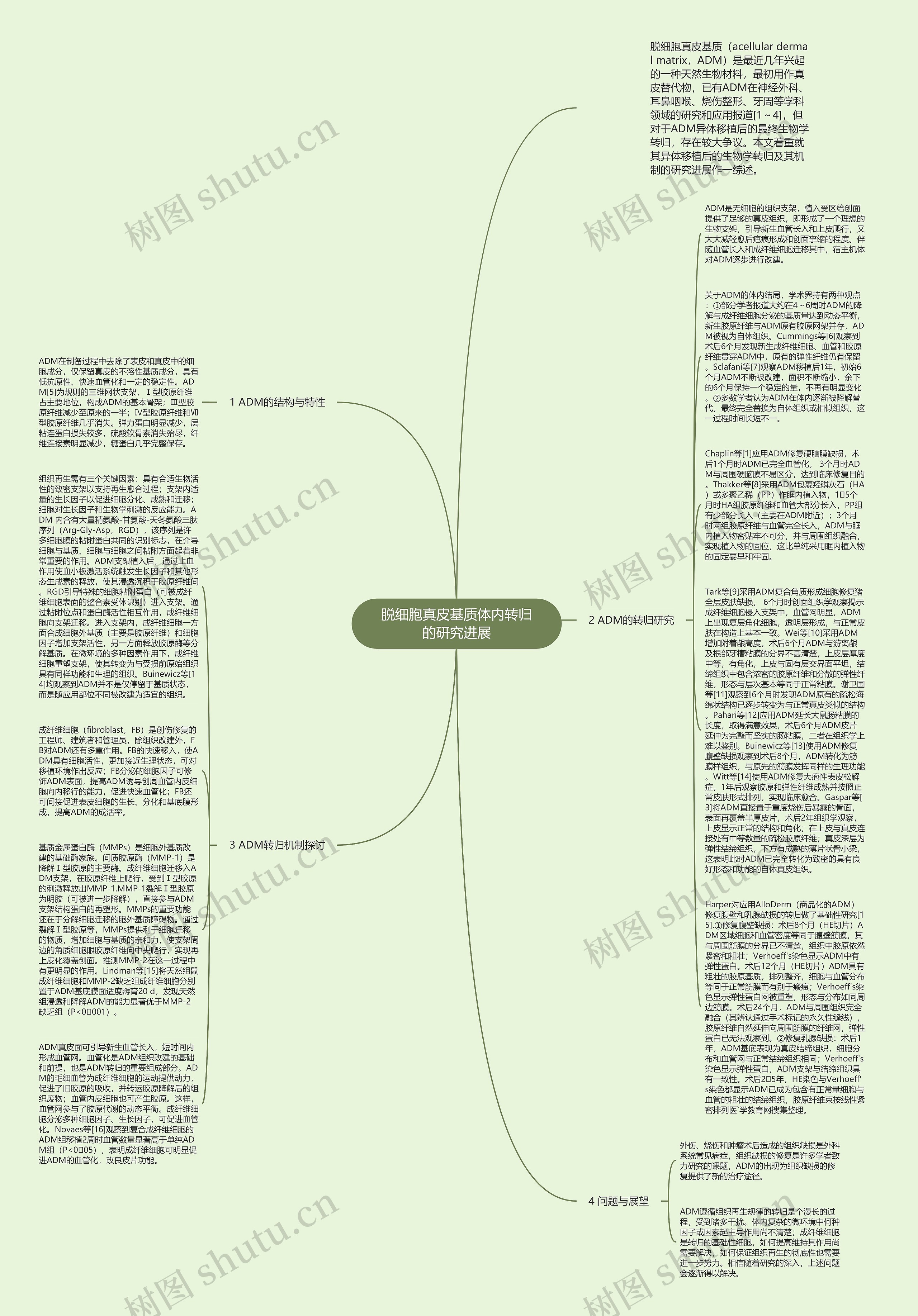 脱细胞真皮基质体内转归的研究进展思维导图