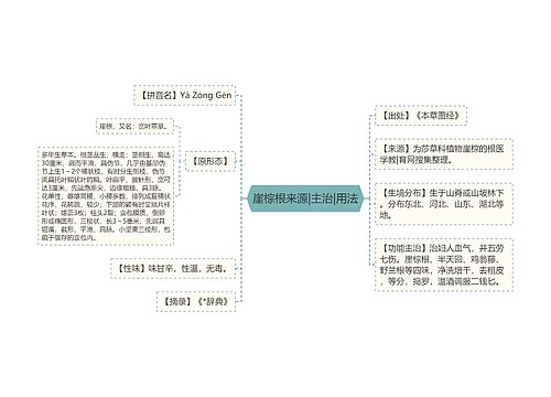 崖棕根来源|主治|用法