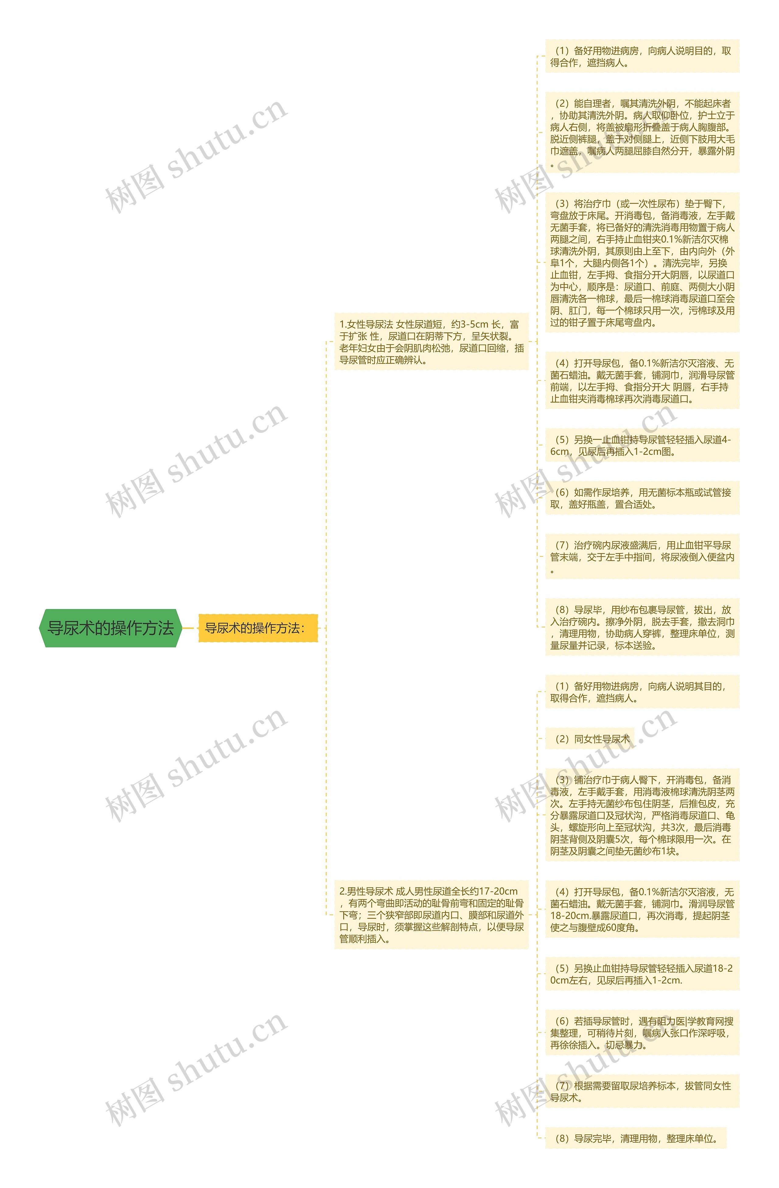 导尿术的操作方法思维导图