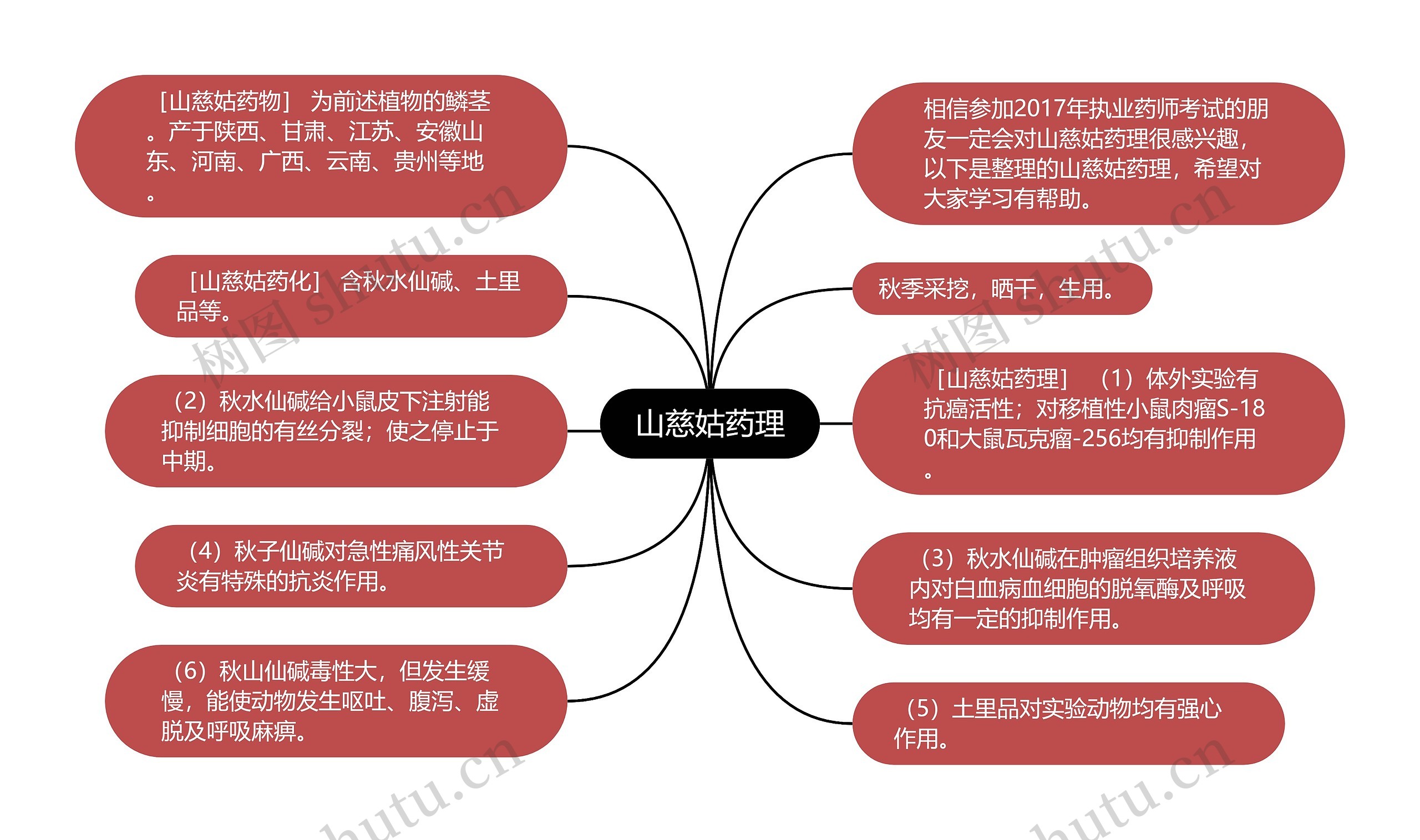 山慈姑药理思维导图