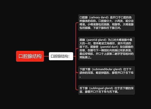 口腔腺结构
