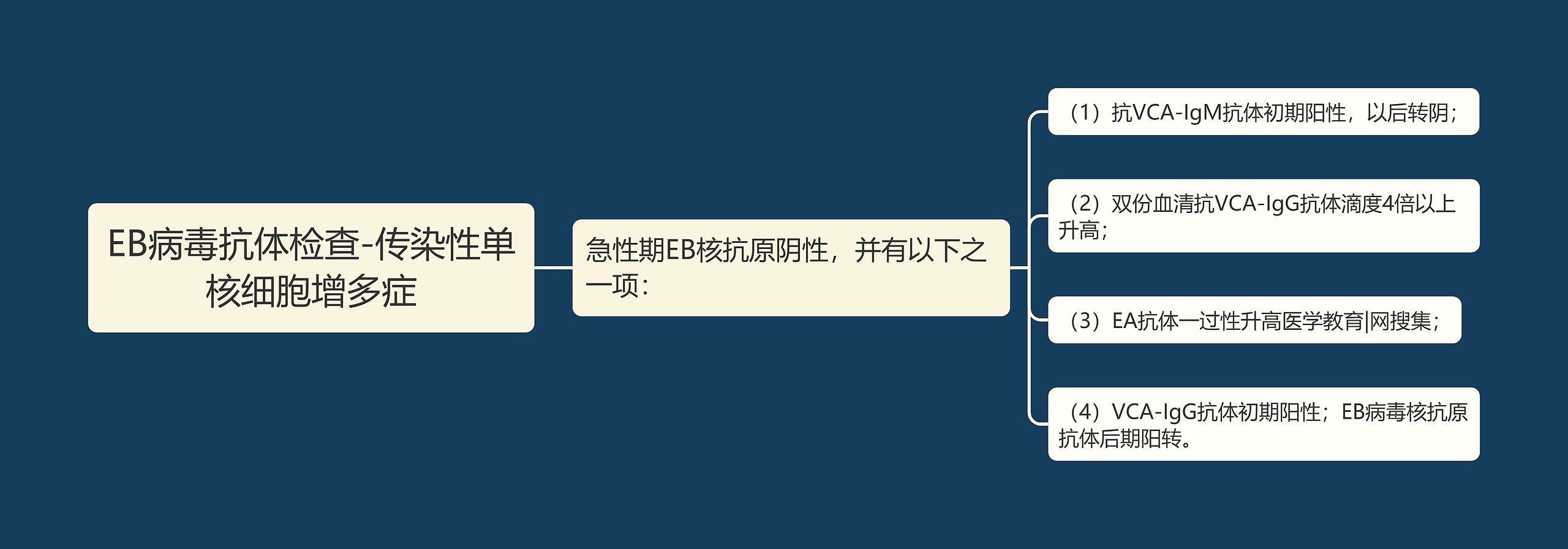 EB病毒抗体检查-传染性单核细胞增多症 EB病毒抗体检查-传染性单核细胞增多症