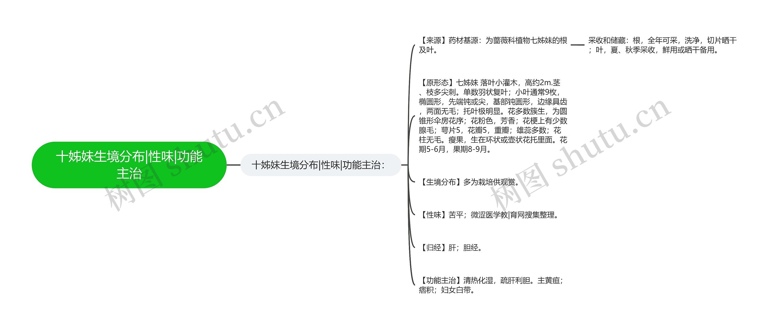 十姊妹生境分布|性味|功能主治思维导图