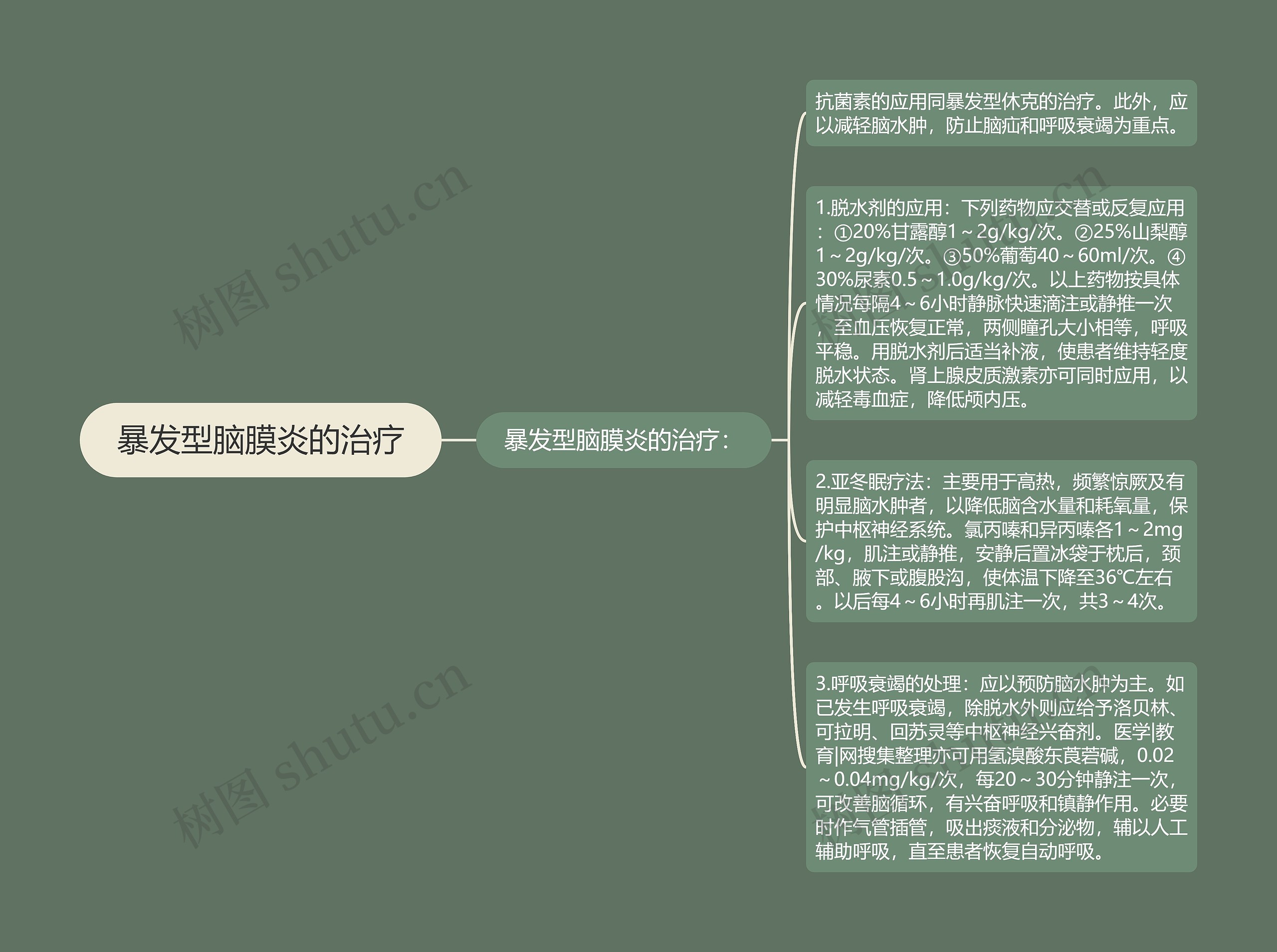 暴发型脑膜炎的治疗