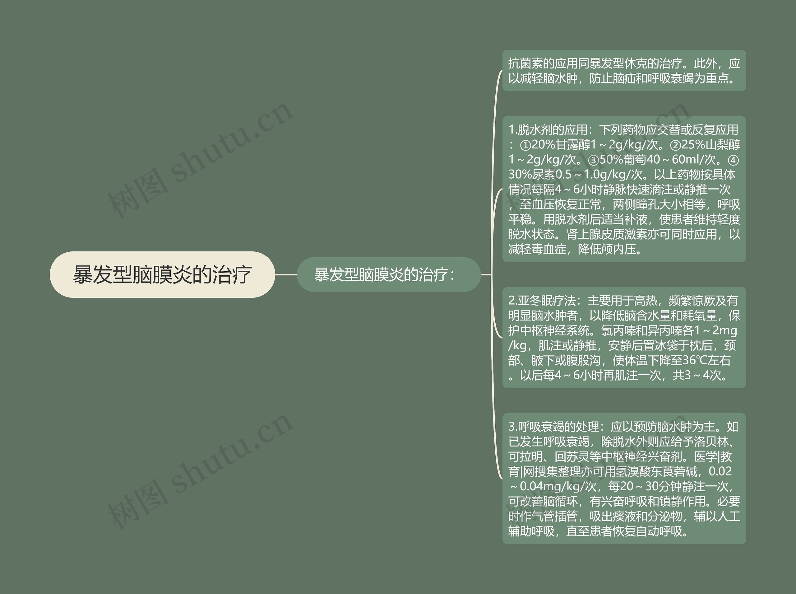 暴发型脑膜炎的治疗思维导图