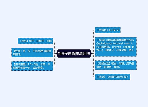 粗榧子来源|主治|用法