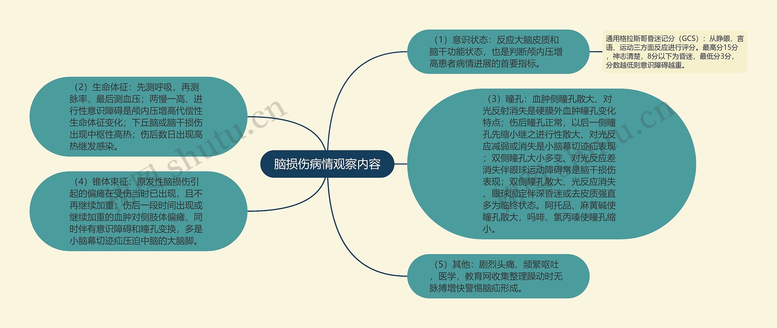 脑损伤病情观察内容思维导图