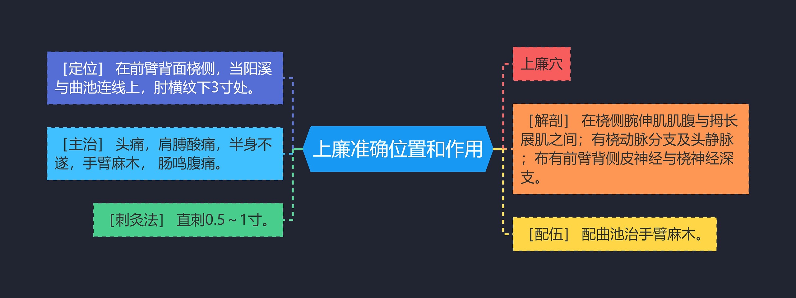 上廉准确位置和作用思维导图