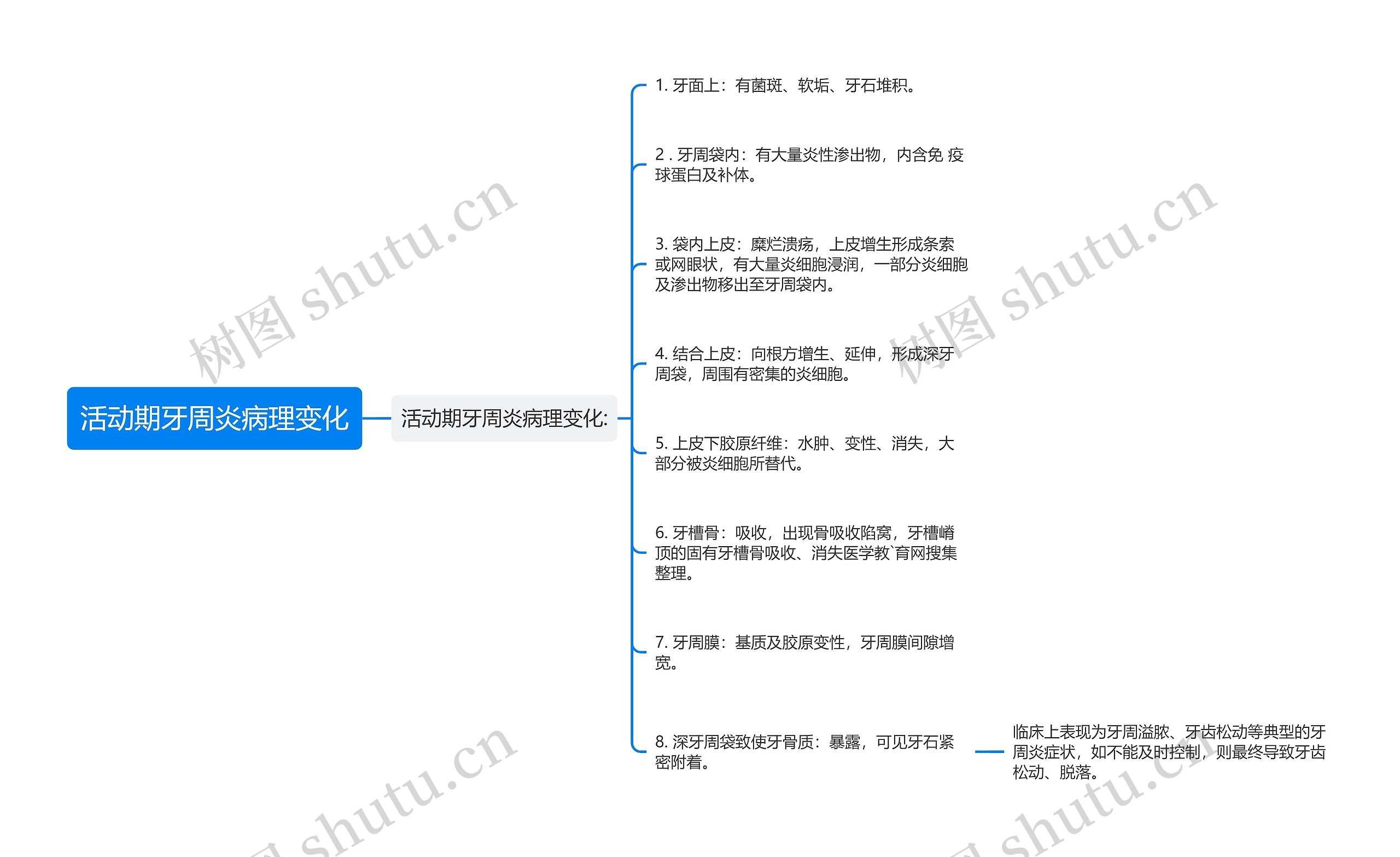 活动期牙周炎病理变化