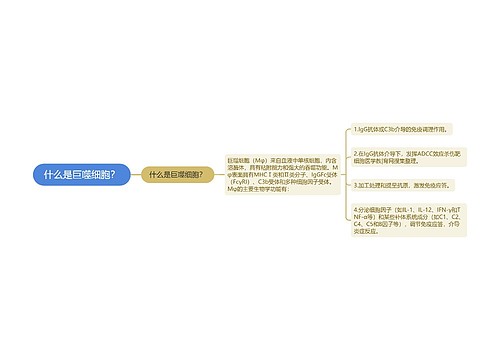什么是巨噬细胞？