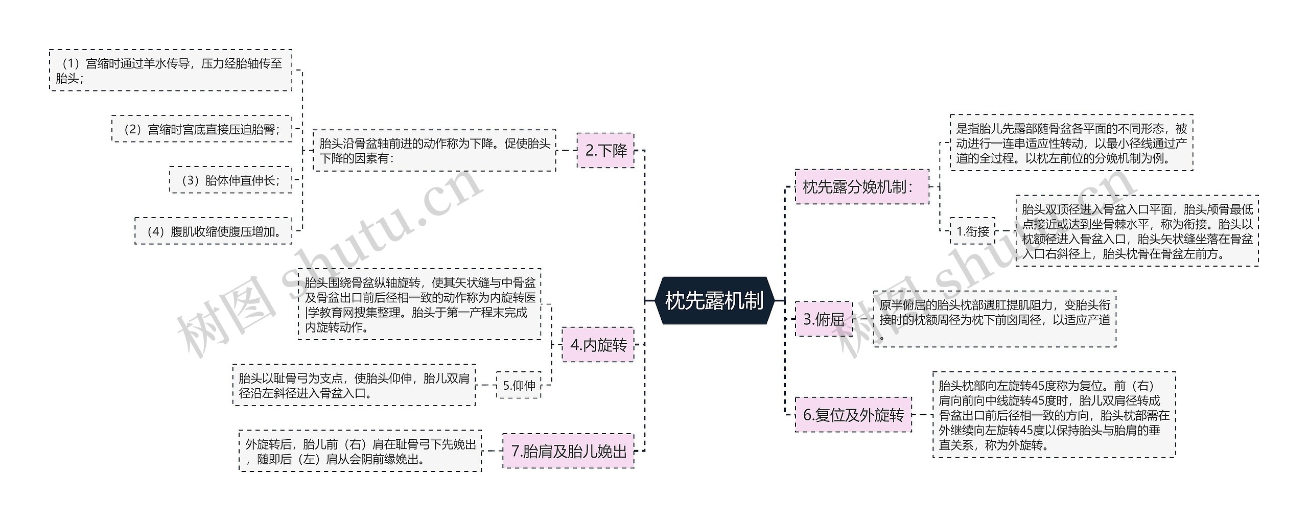 枕先露机制思维导图