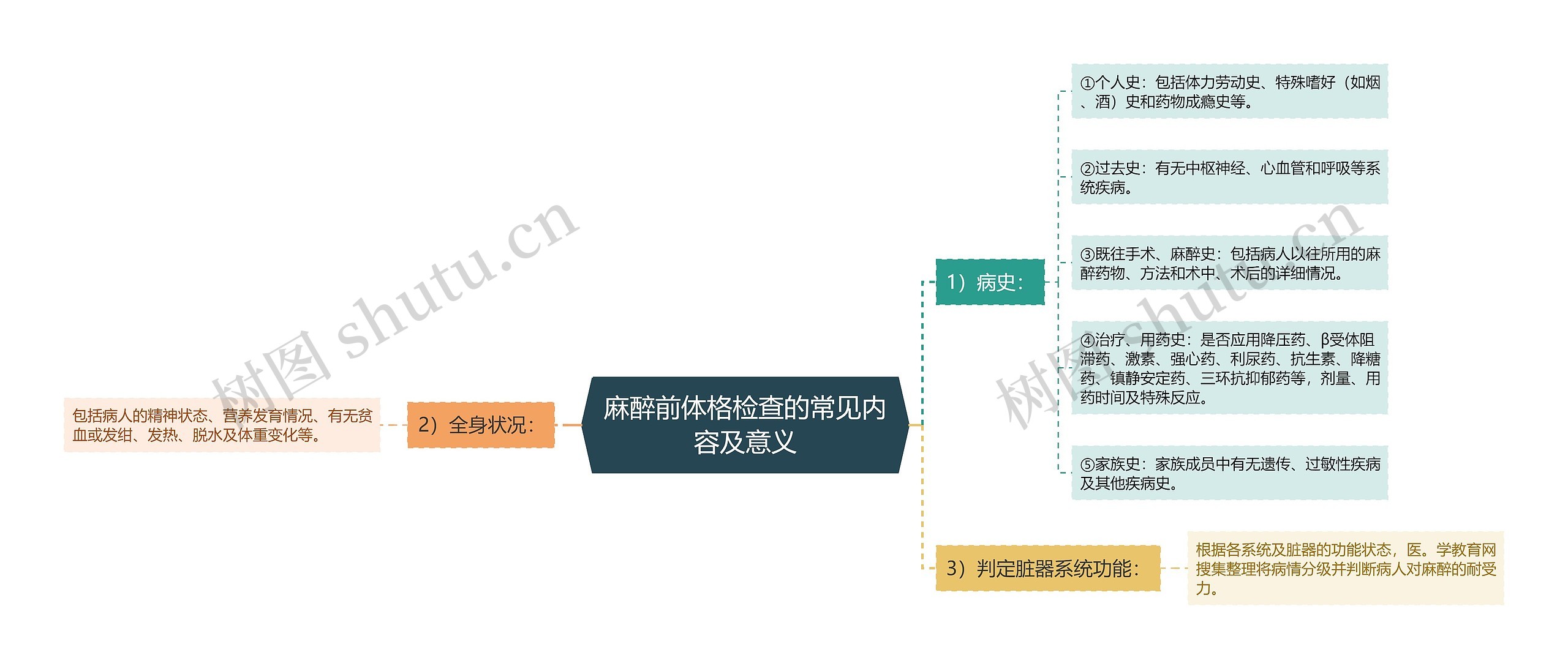 麻醉前体格检查的常见内容及意义思维导图