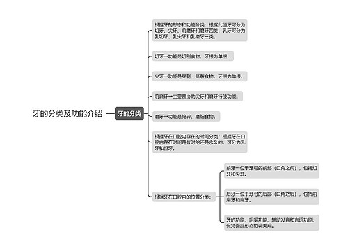 牙的分类及功能介绍