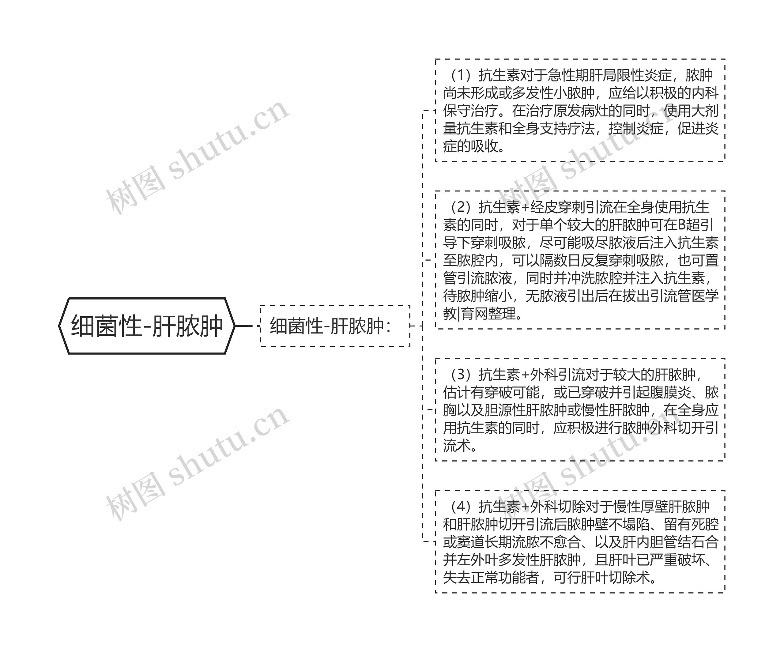 细菌性-肝脓肿思维导图