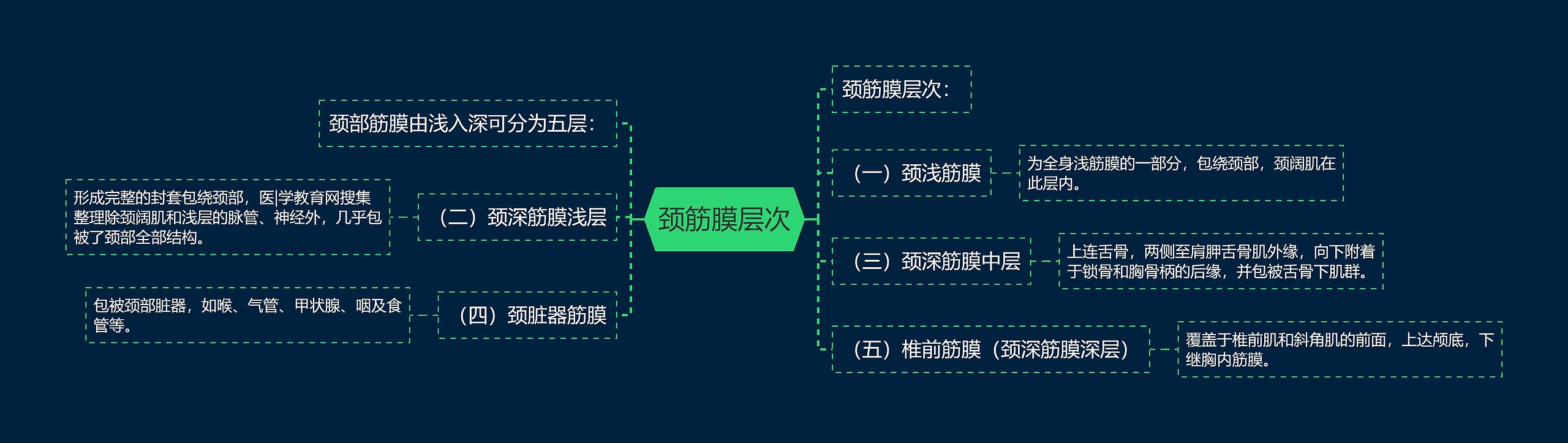 颈筋膜层次思维导图