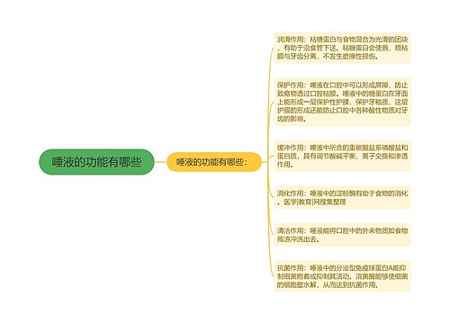 唾液的功能有哪些