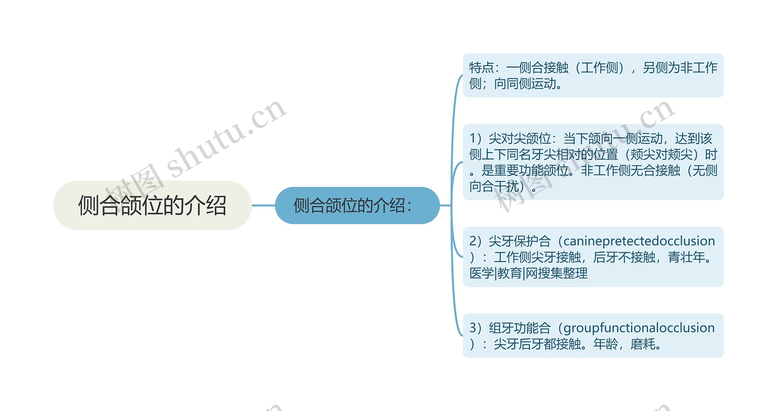 侧合颌位的介绍 侧合颌位的介绍
