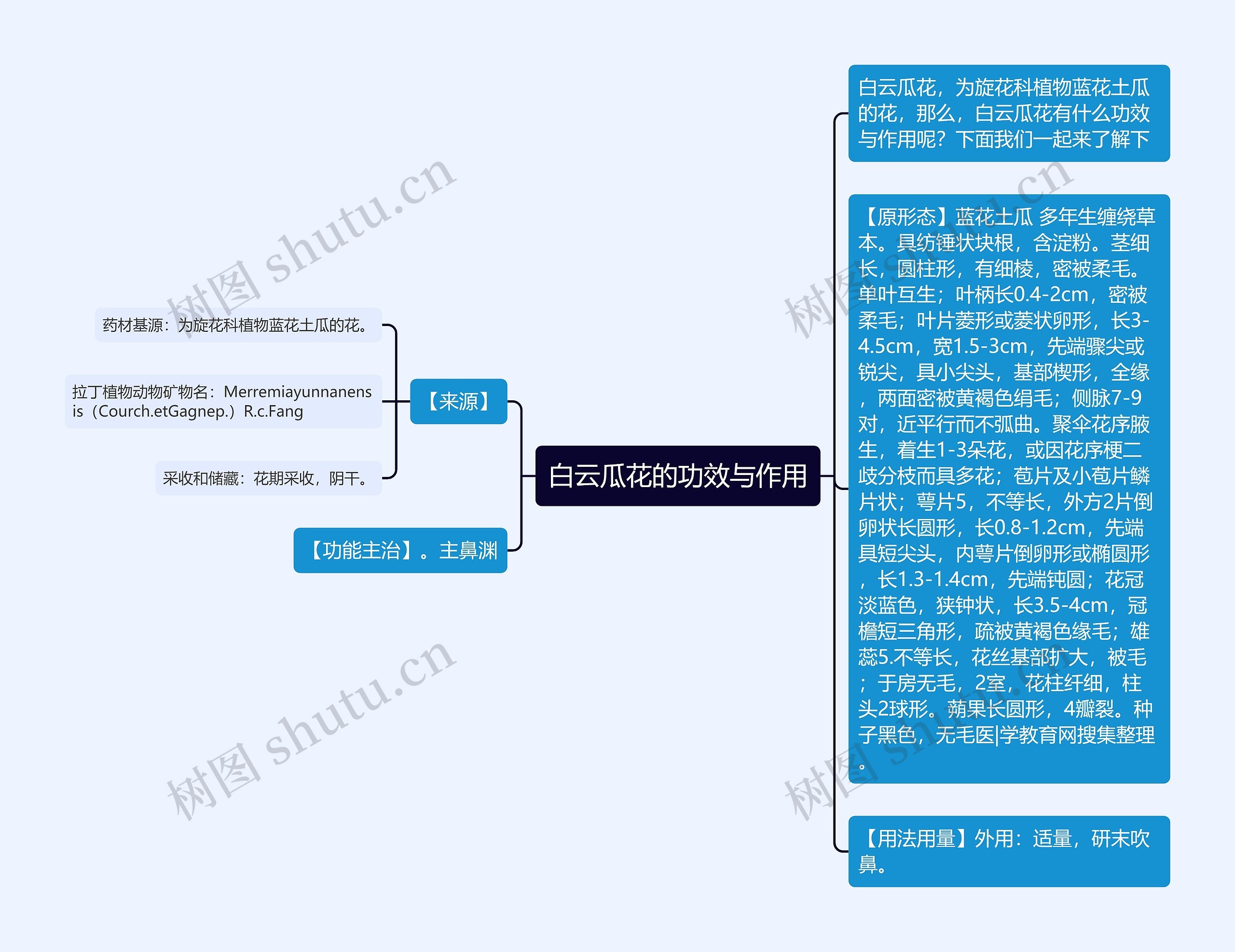 白云瓜花的功效与作用思维导图