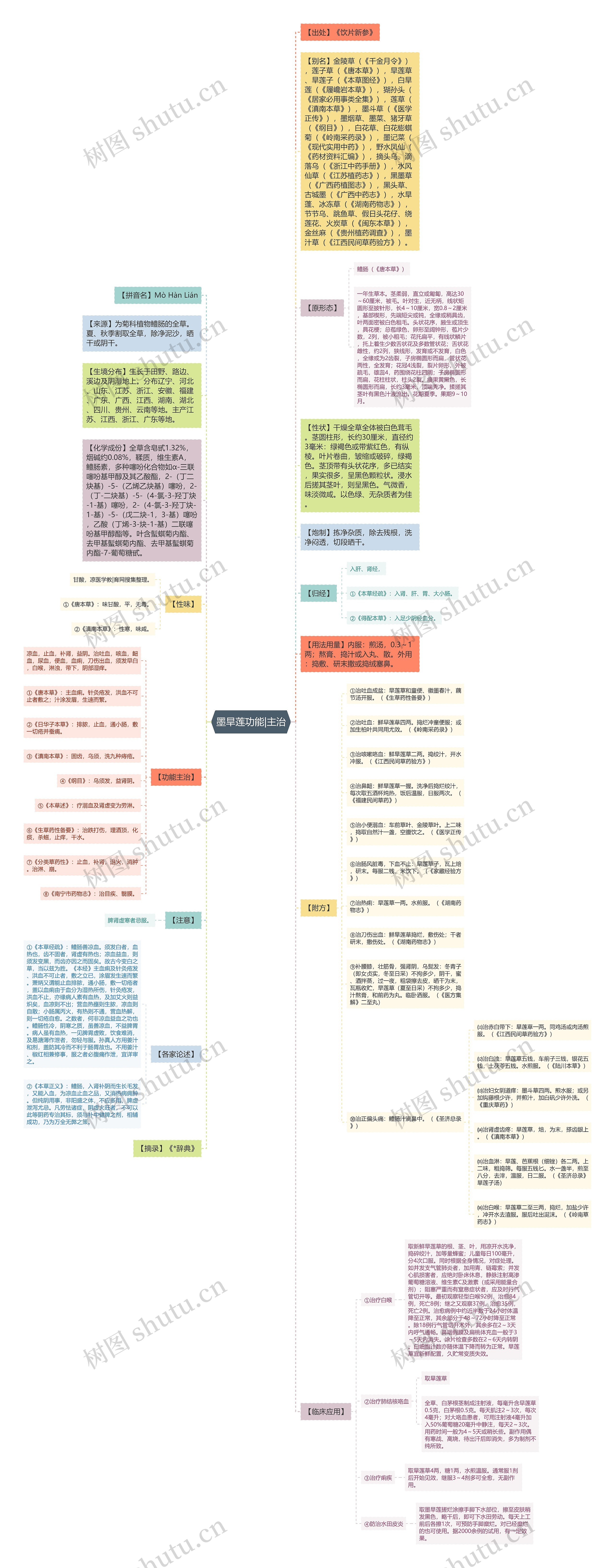 墨旱莲功能|主治思维导图