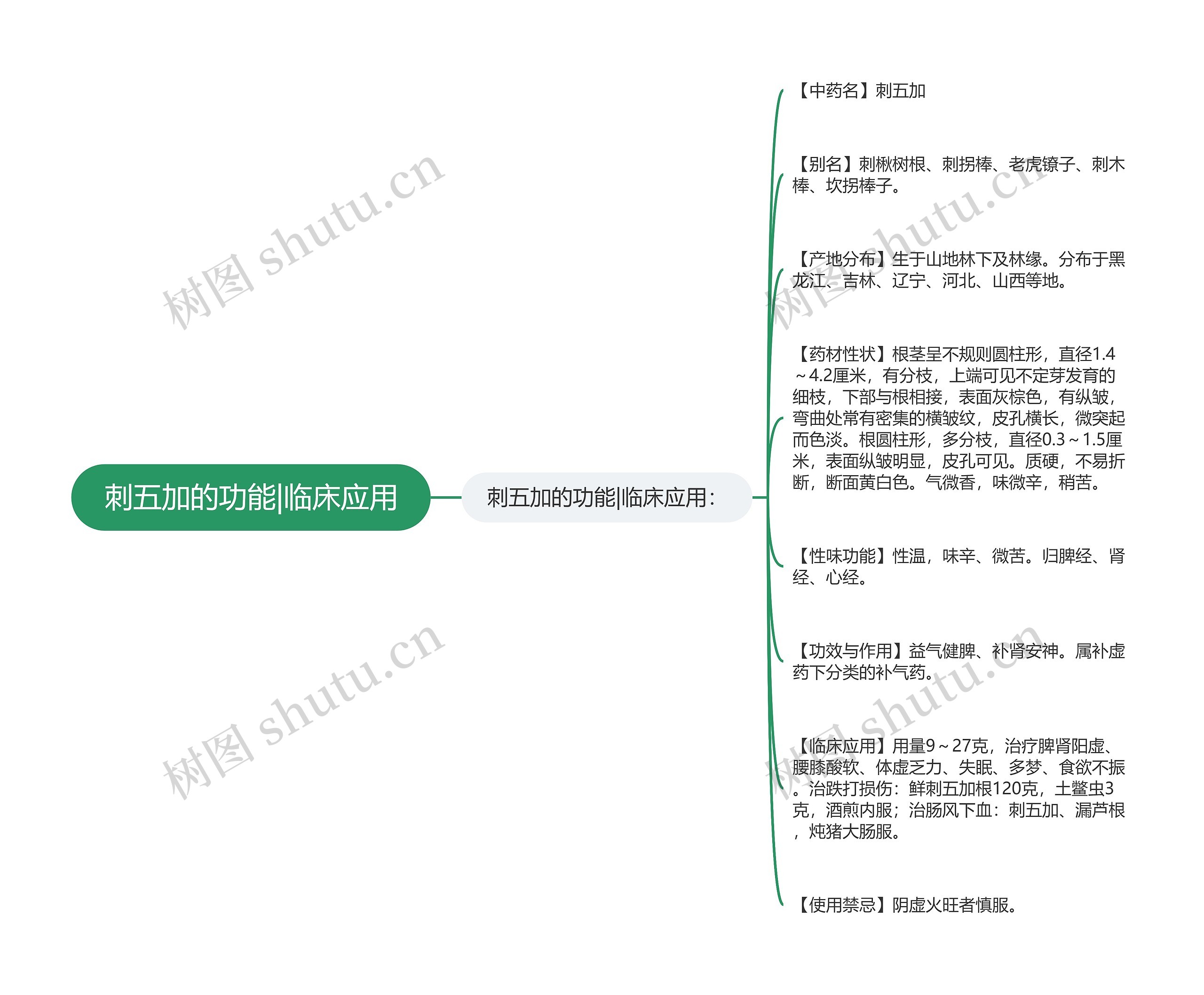 刺五加的功能|临床应用思维导图