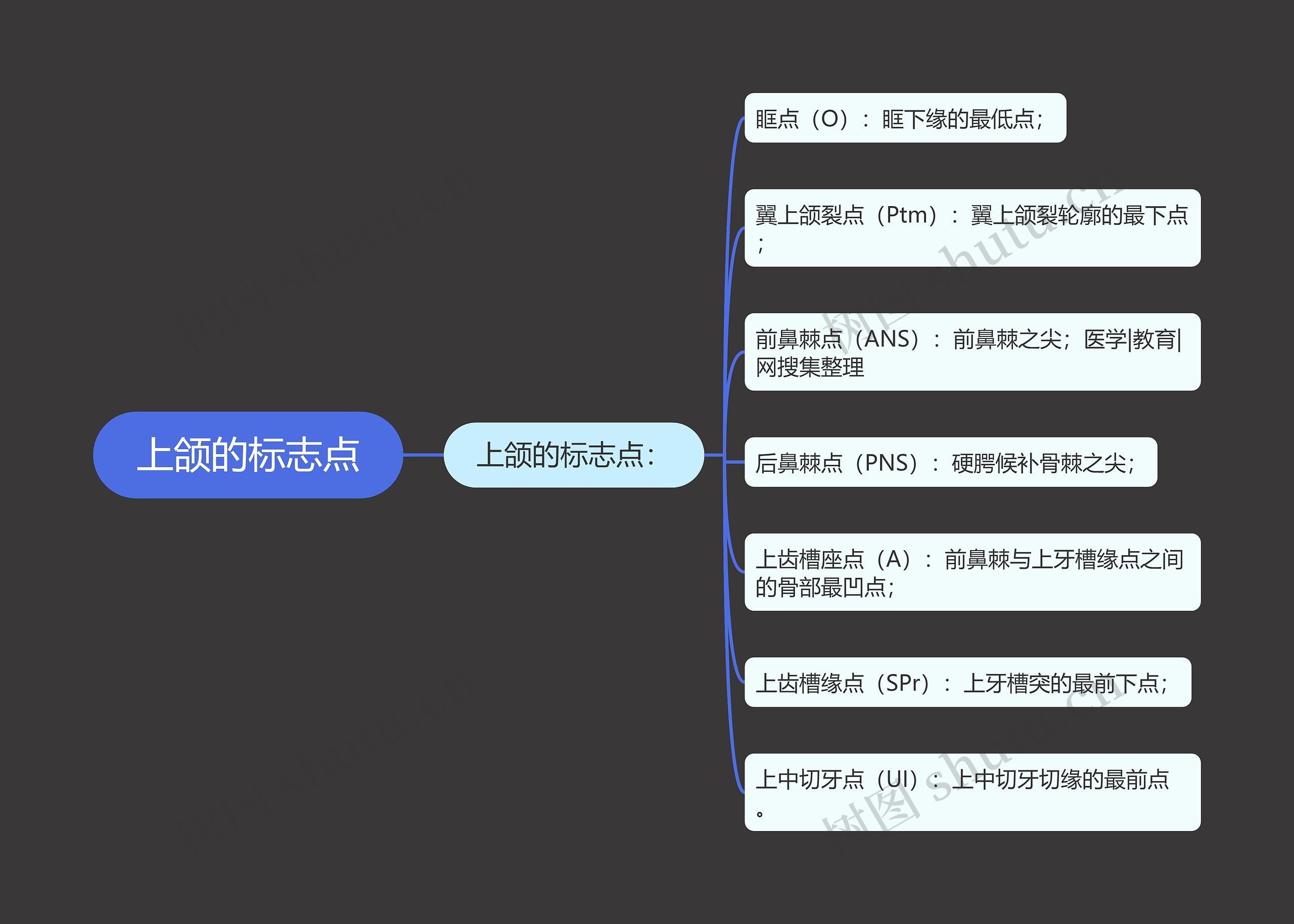 上颌的标志点思维导图