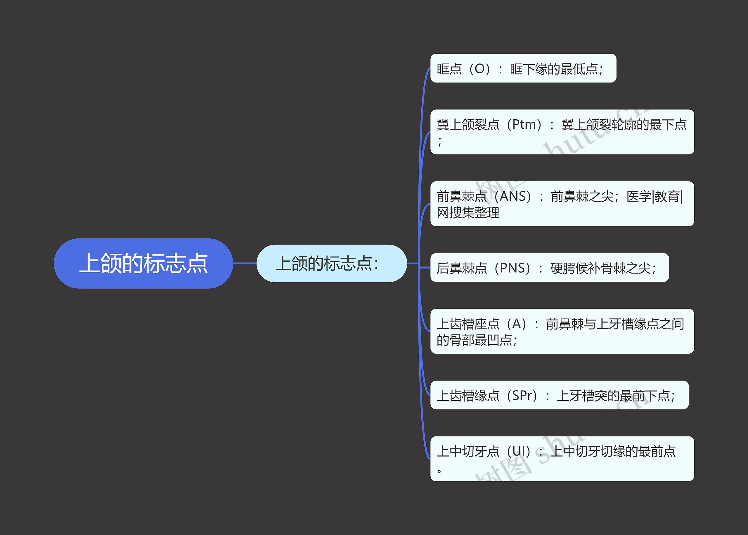 上颌的标志点 上颌的标志点
