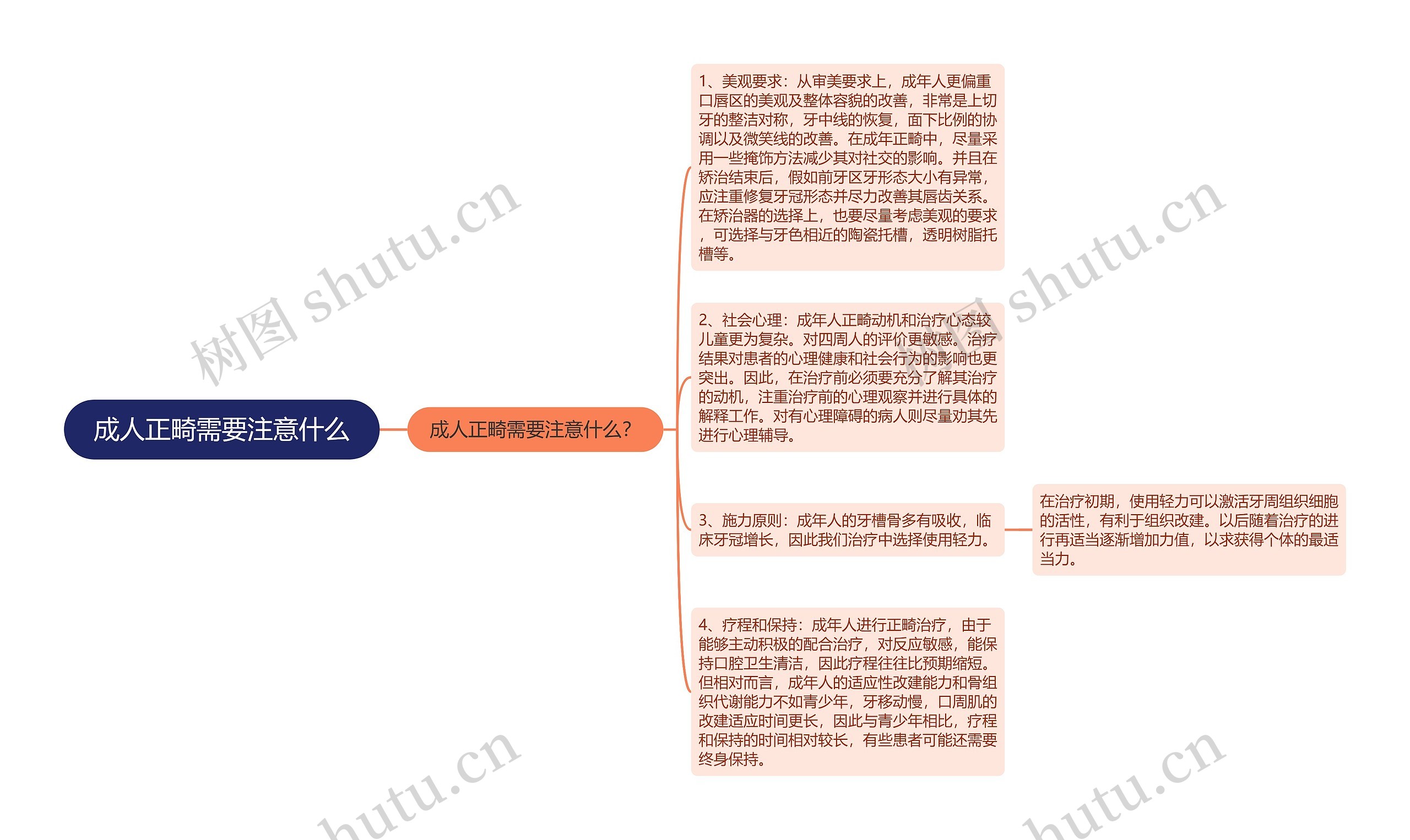 成人正畸需要注意什么思维导图