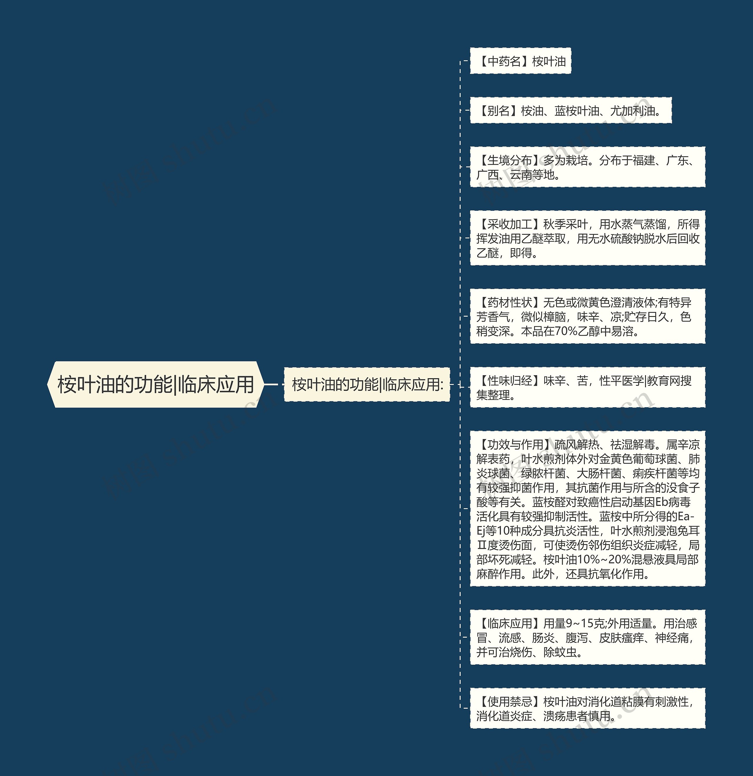 桉叶油的功能|临床应用思维导图