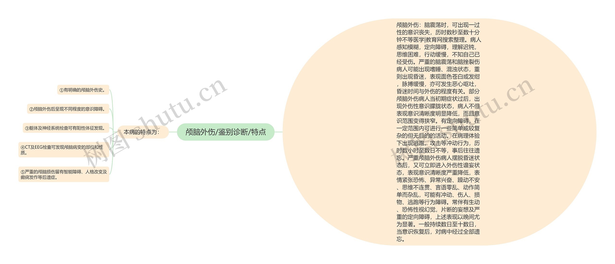 颅脑外伤/鉴别诊断/特点 颅脑外伤/鉴别诊断/特点