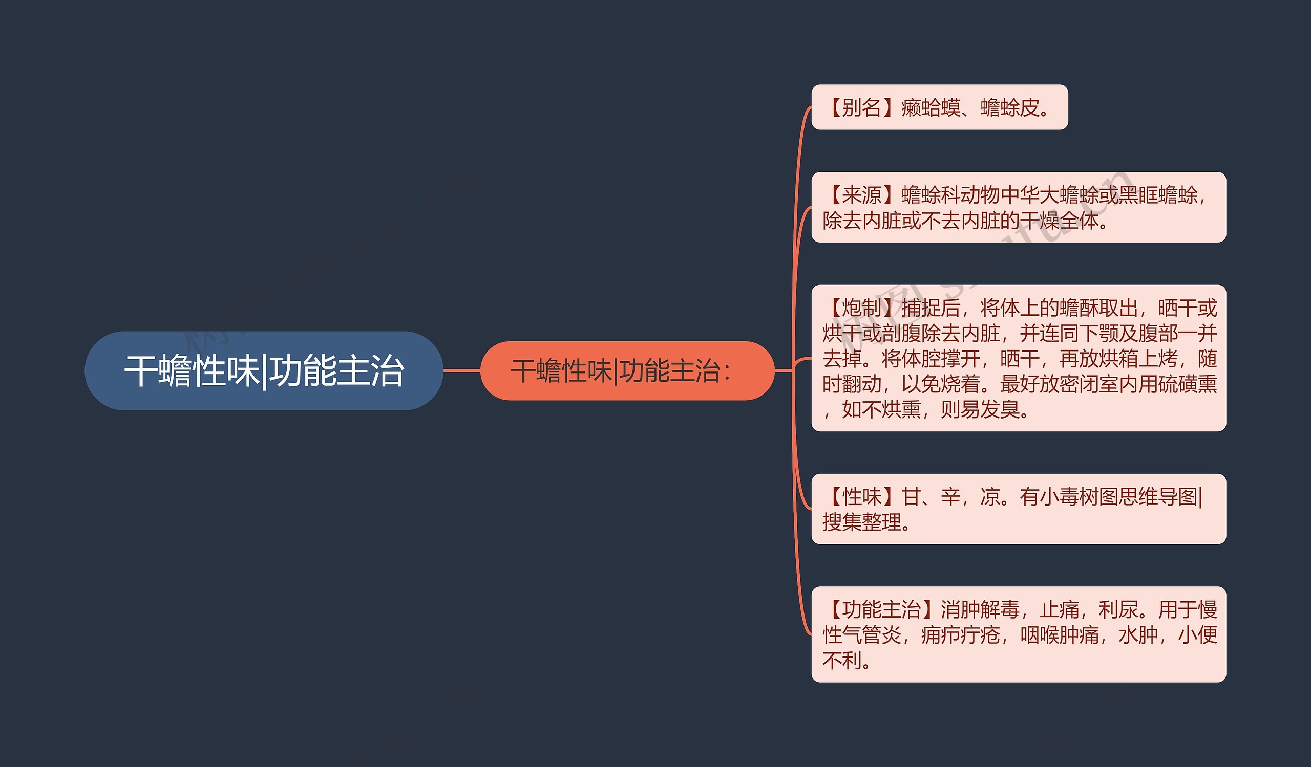 干蟾性味|功能主治思维导图