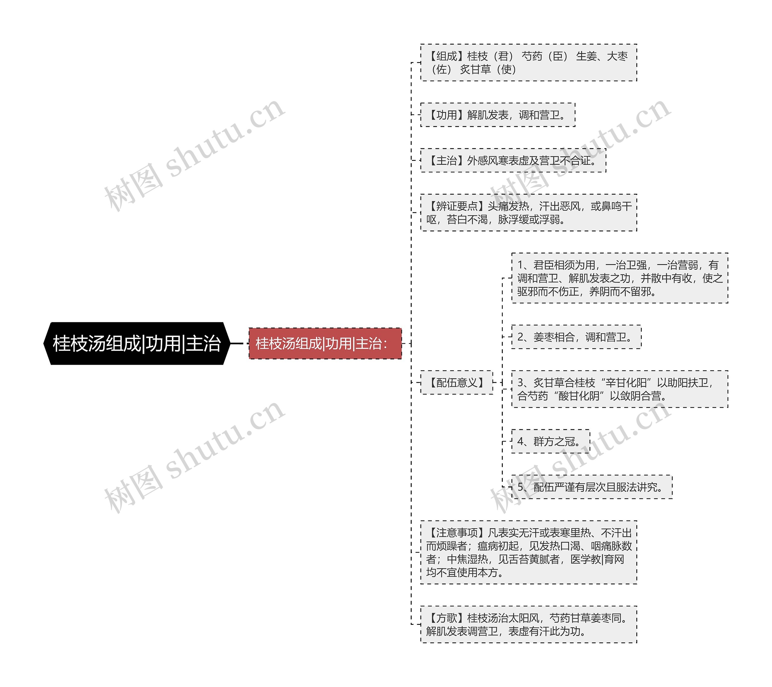 桂枝汤组成|功用|主治