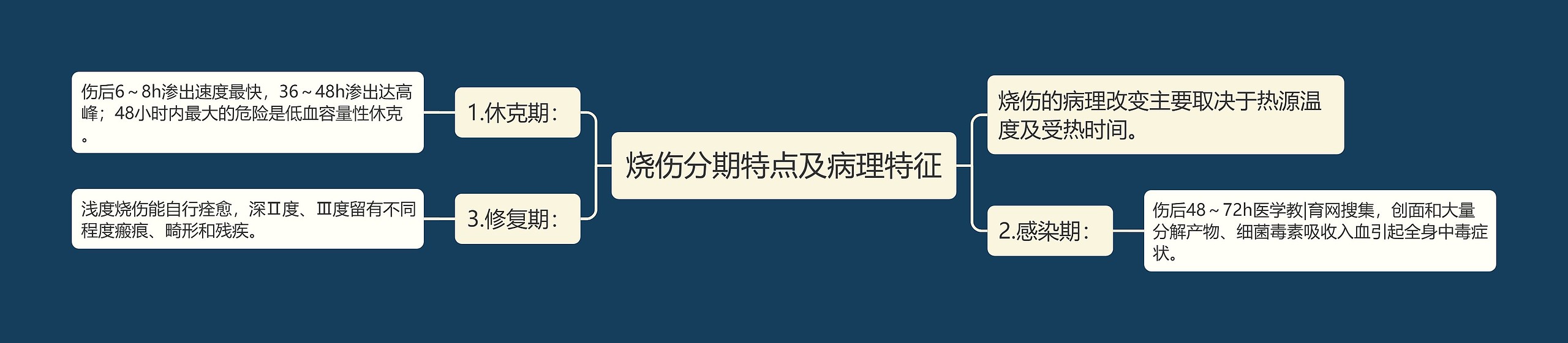 烧伤分期特点及病理特征