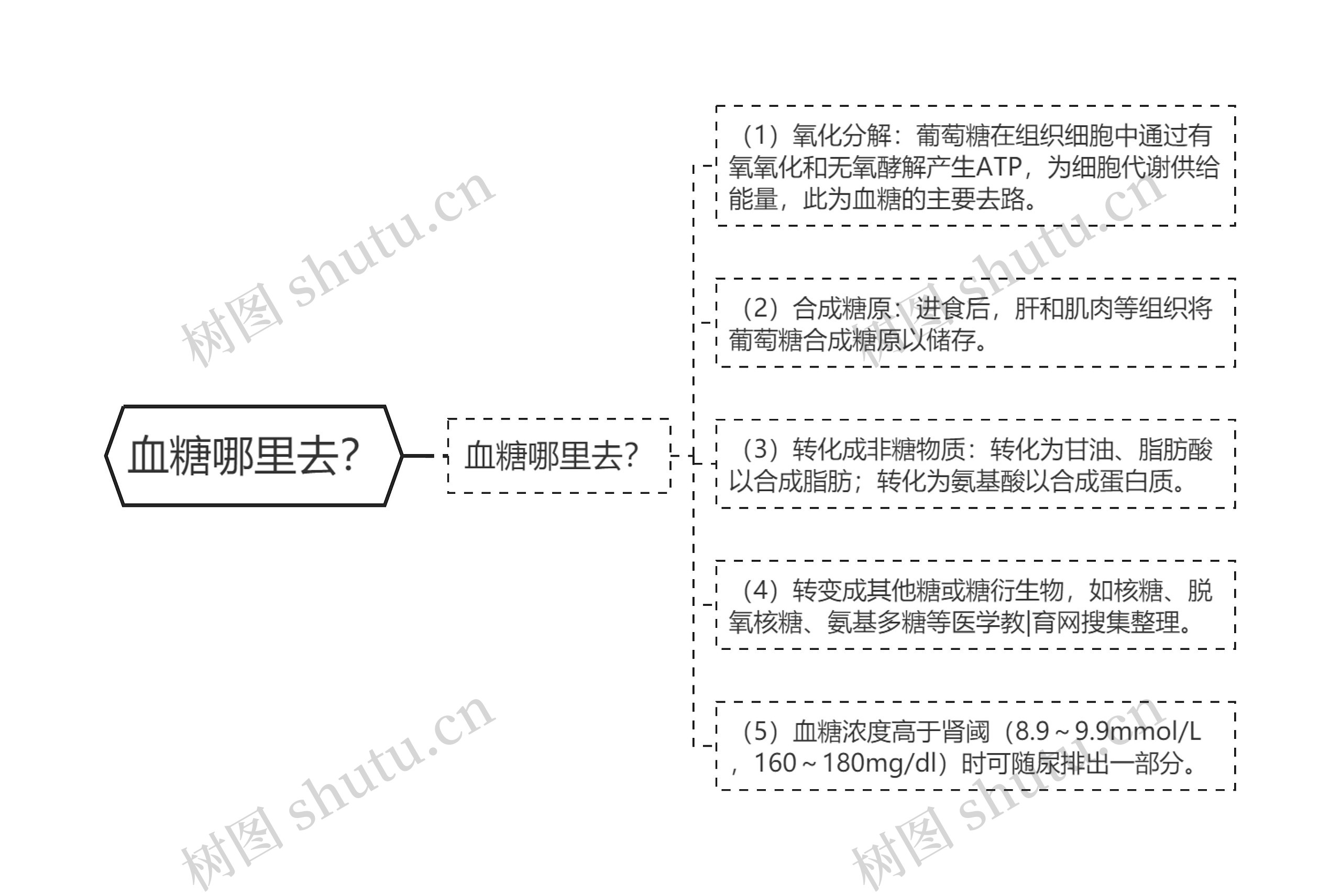 血糖哪里去？思维导图