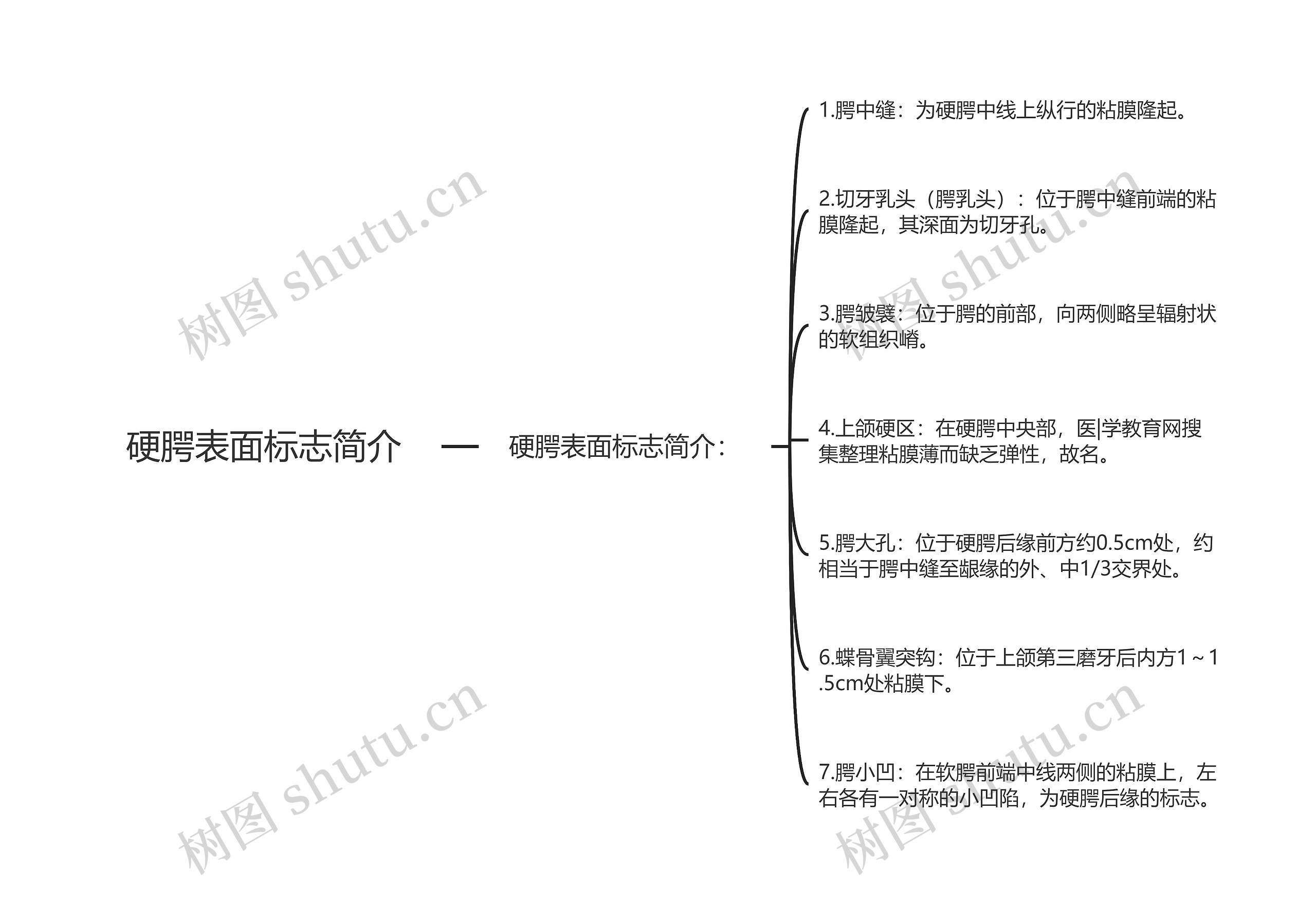 硬腭表面标志简介