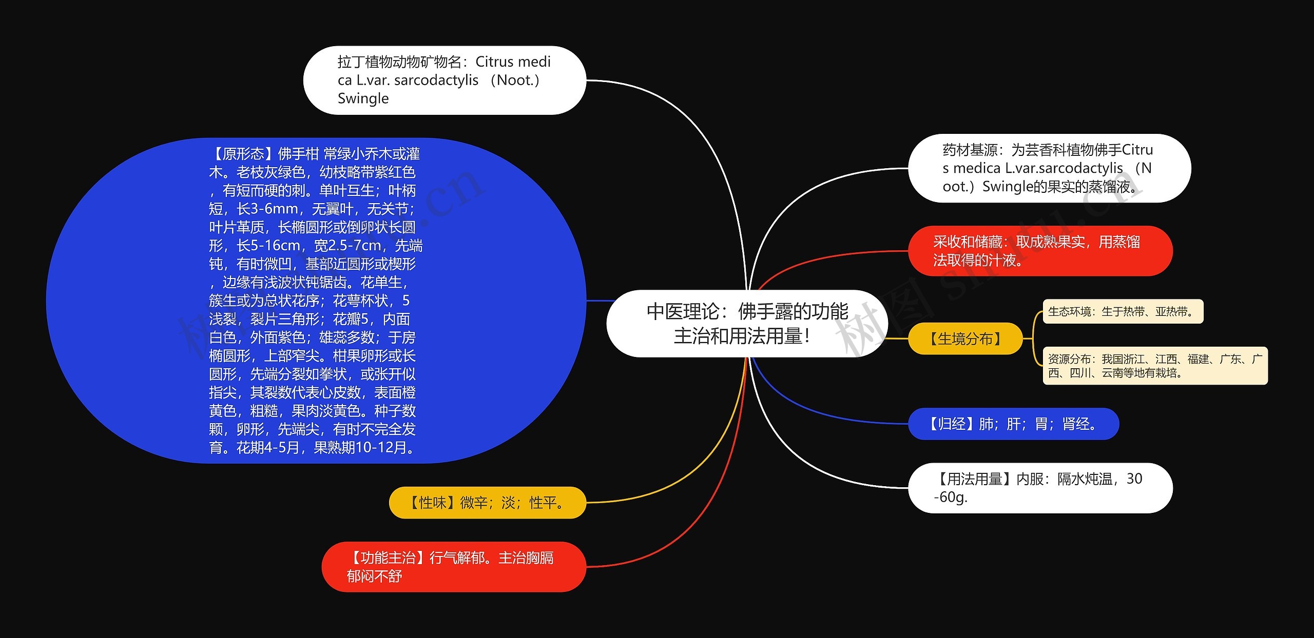 中医理论：佛手露的功能主治和用法用量！