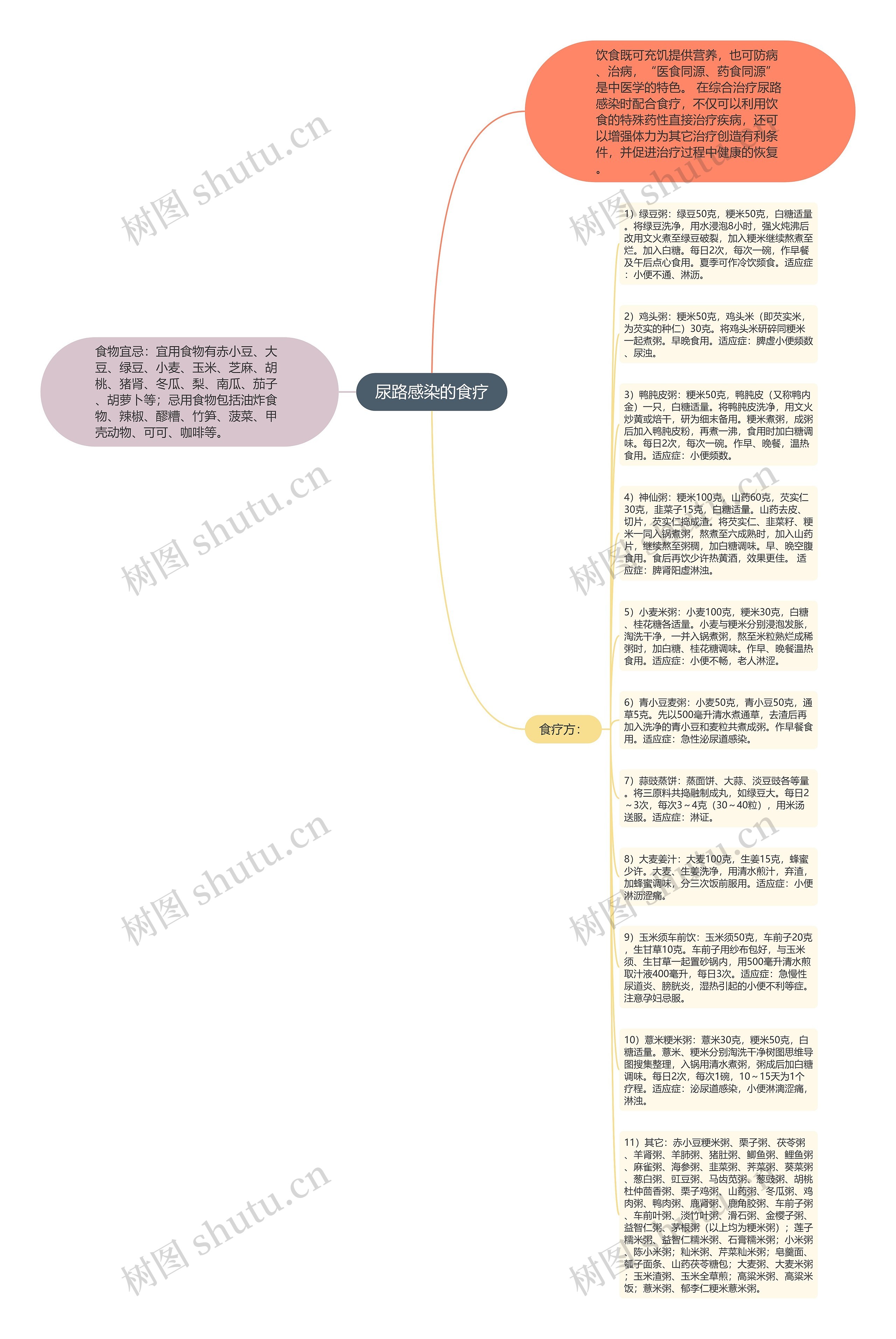尿路感染的食疗思维导图