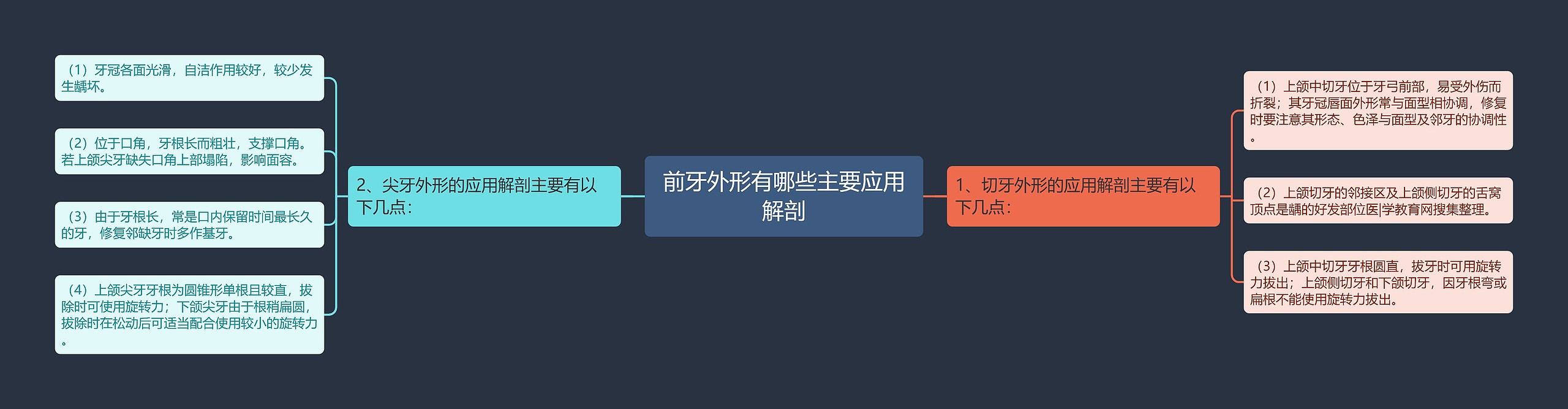 前牙外形有哪些主要应用解剖思维导图