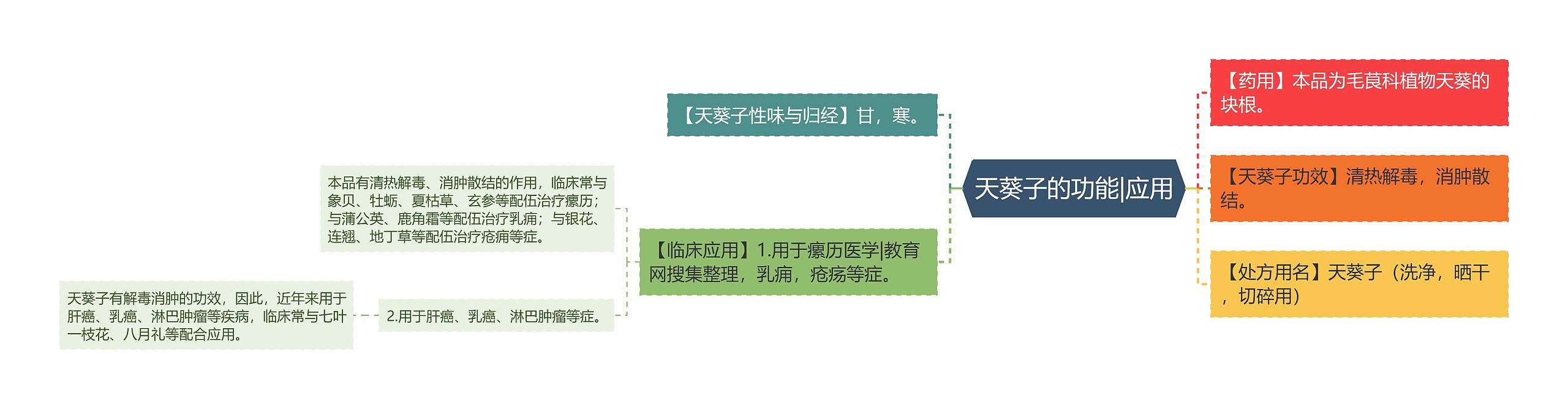 天葵子的功能|应用思维导图