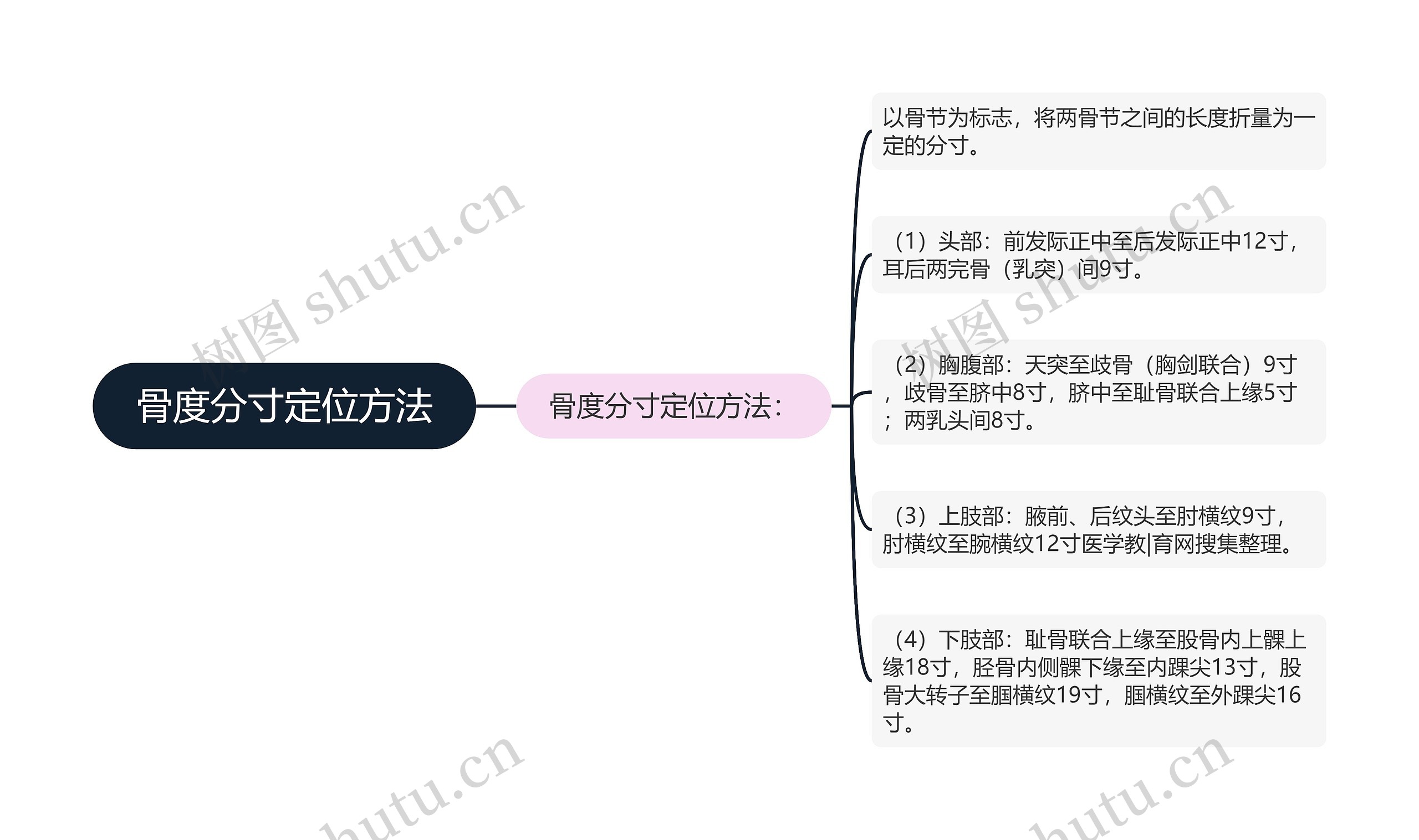 骨度分寸定位方法