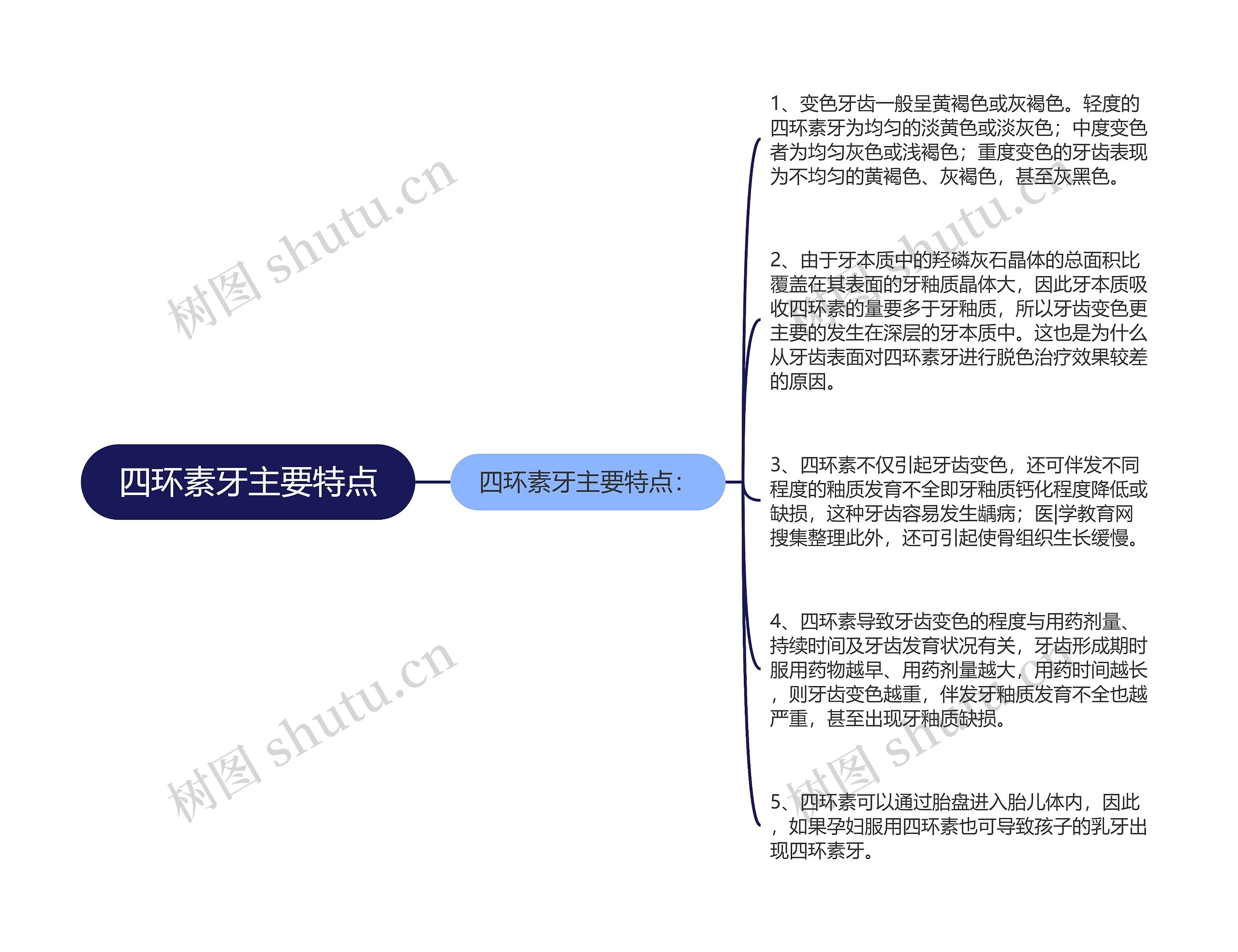 四环素牙主要特点