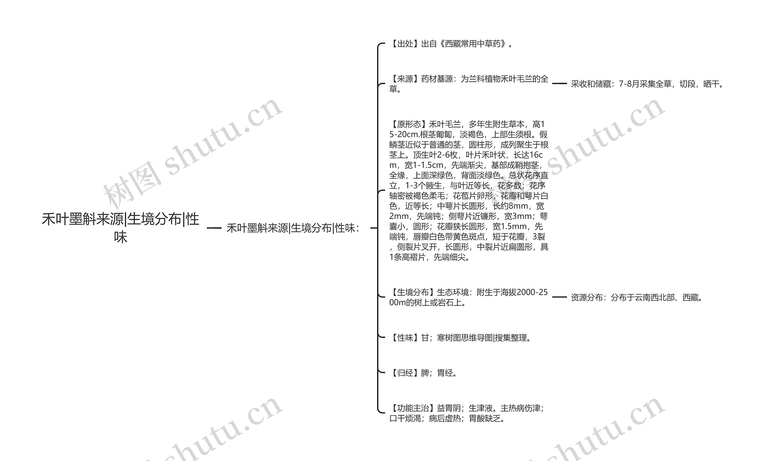 禾叶墨斛来源|生境分布|性味思维导图