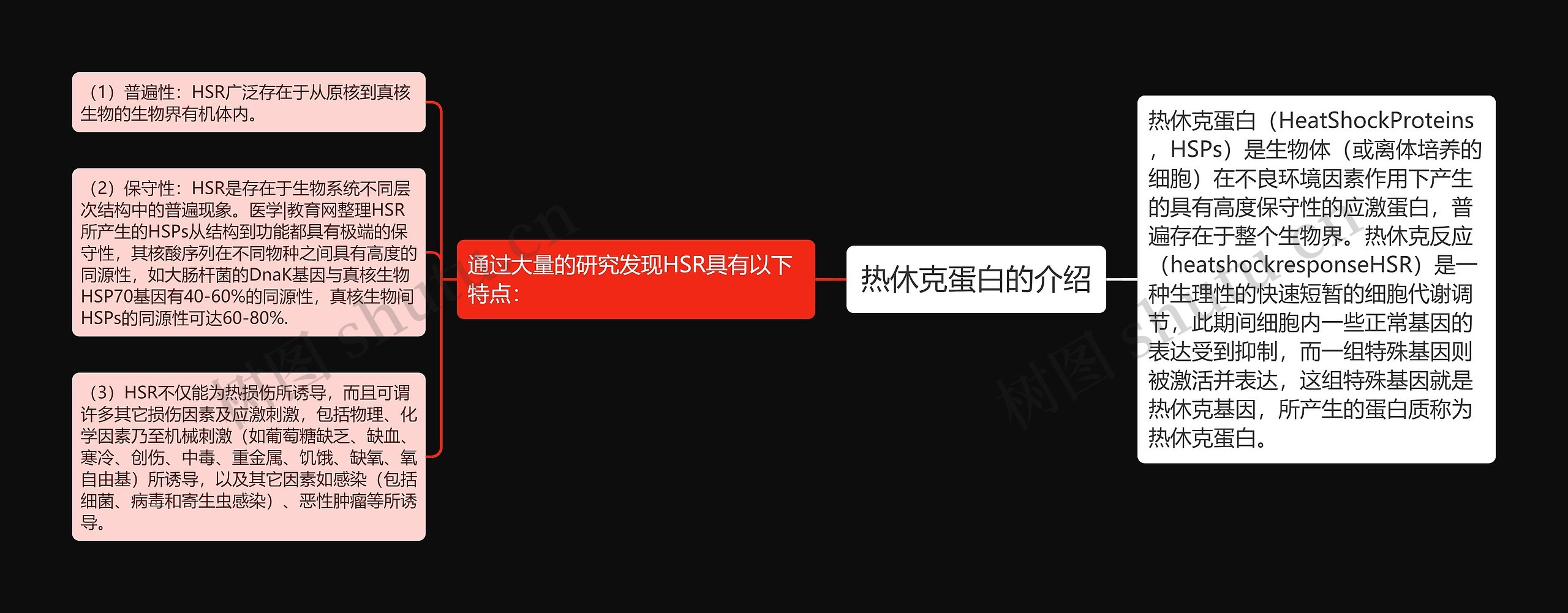热休克蛋白的介绍 热休克蛋白的介绍