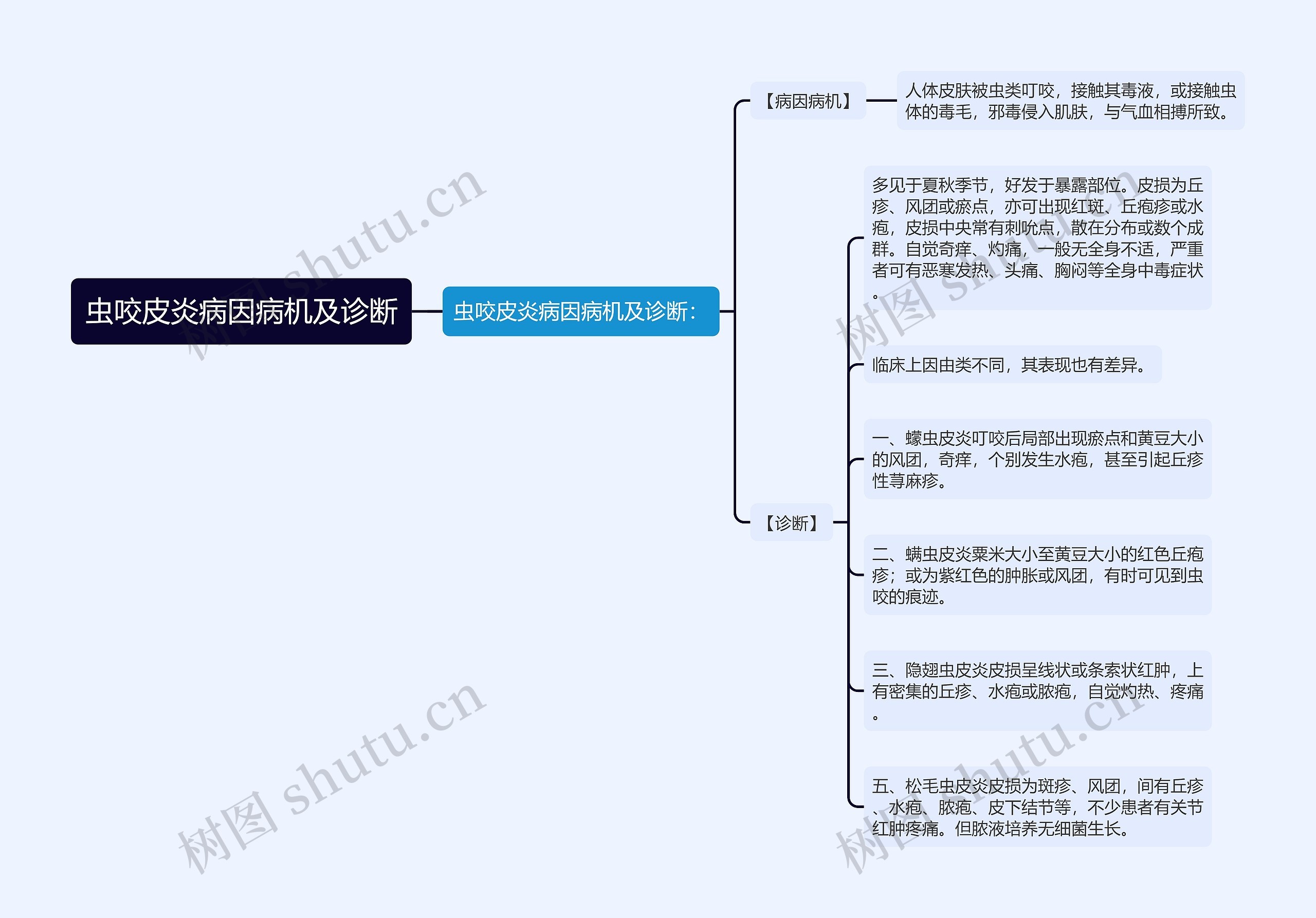 虫咬皮炎病因病机及诊断思维导图