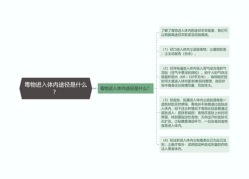 毒物进入体内途径是什么？